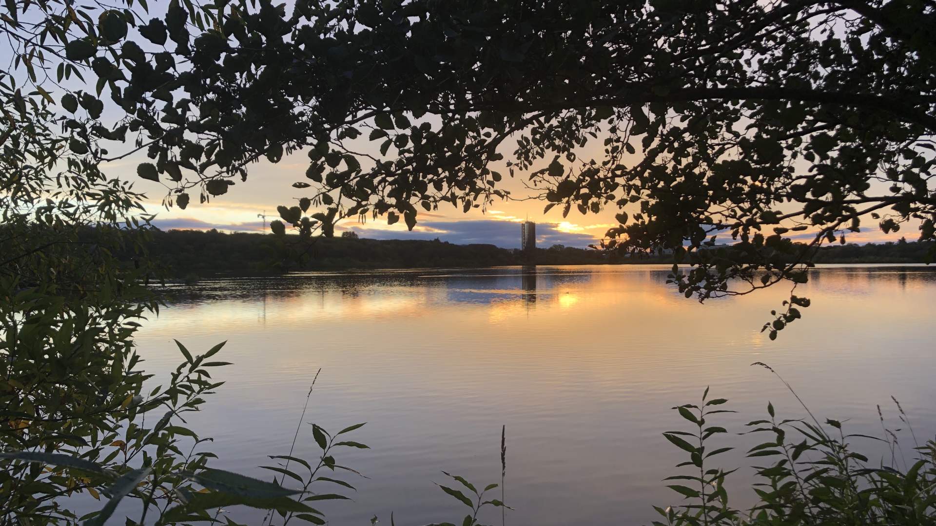 Mosvatnet/Vålandskogen