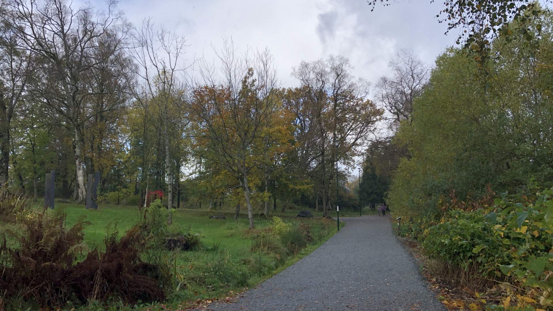 Mosvatnet/Vålandskogen