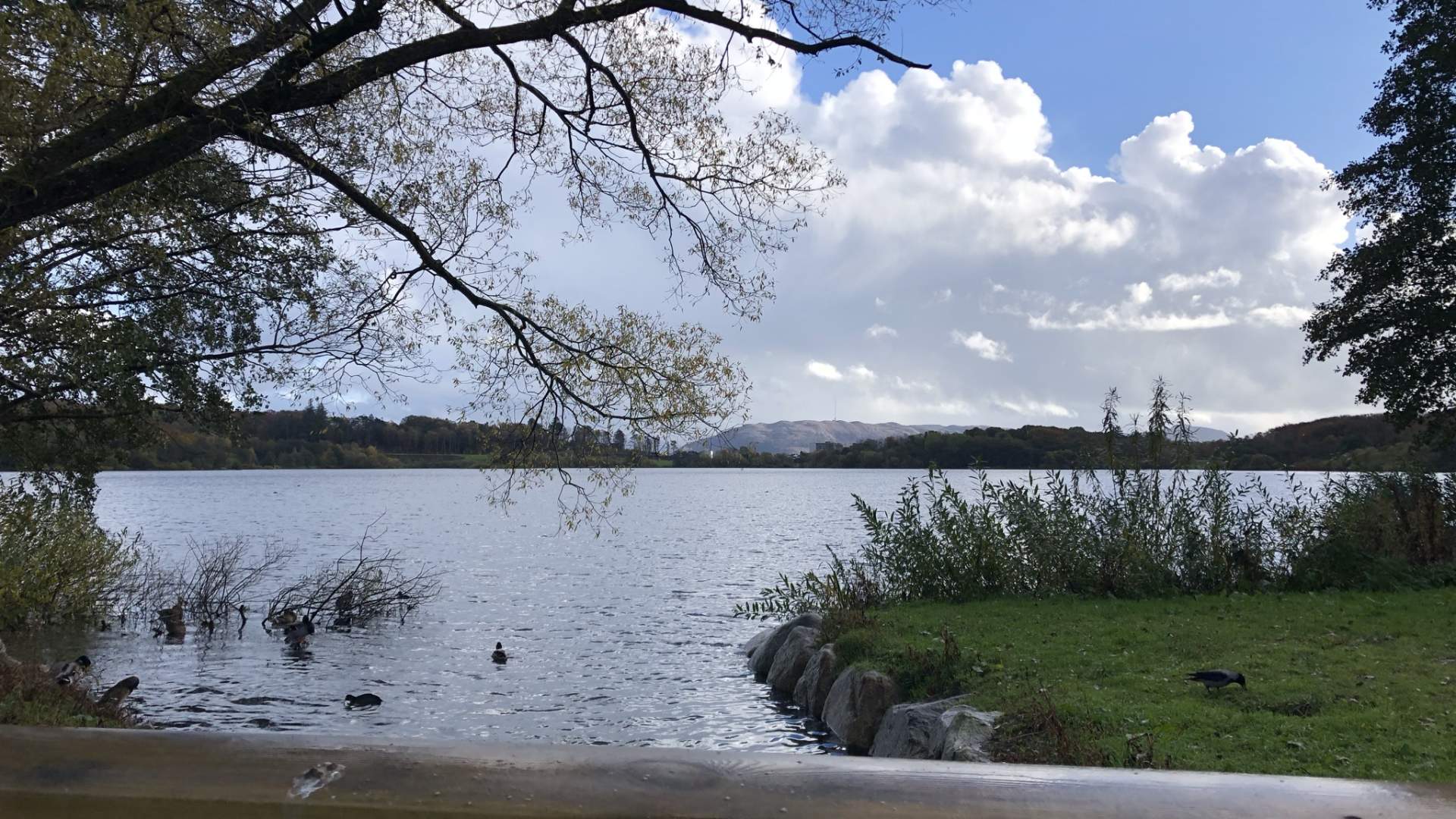 Mosvatnet/Vålandskogen