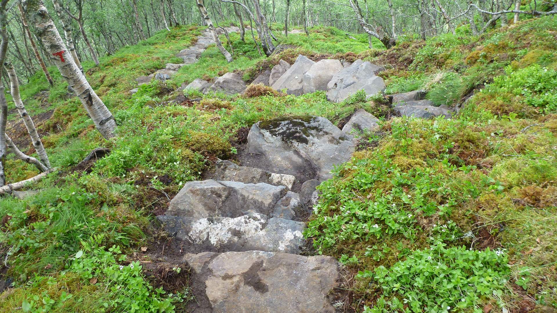 Hike to Malmangernuten from Rosendal