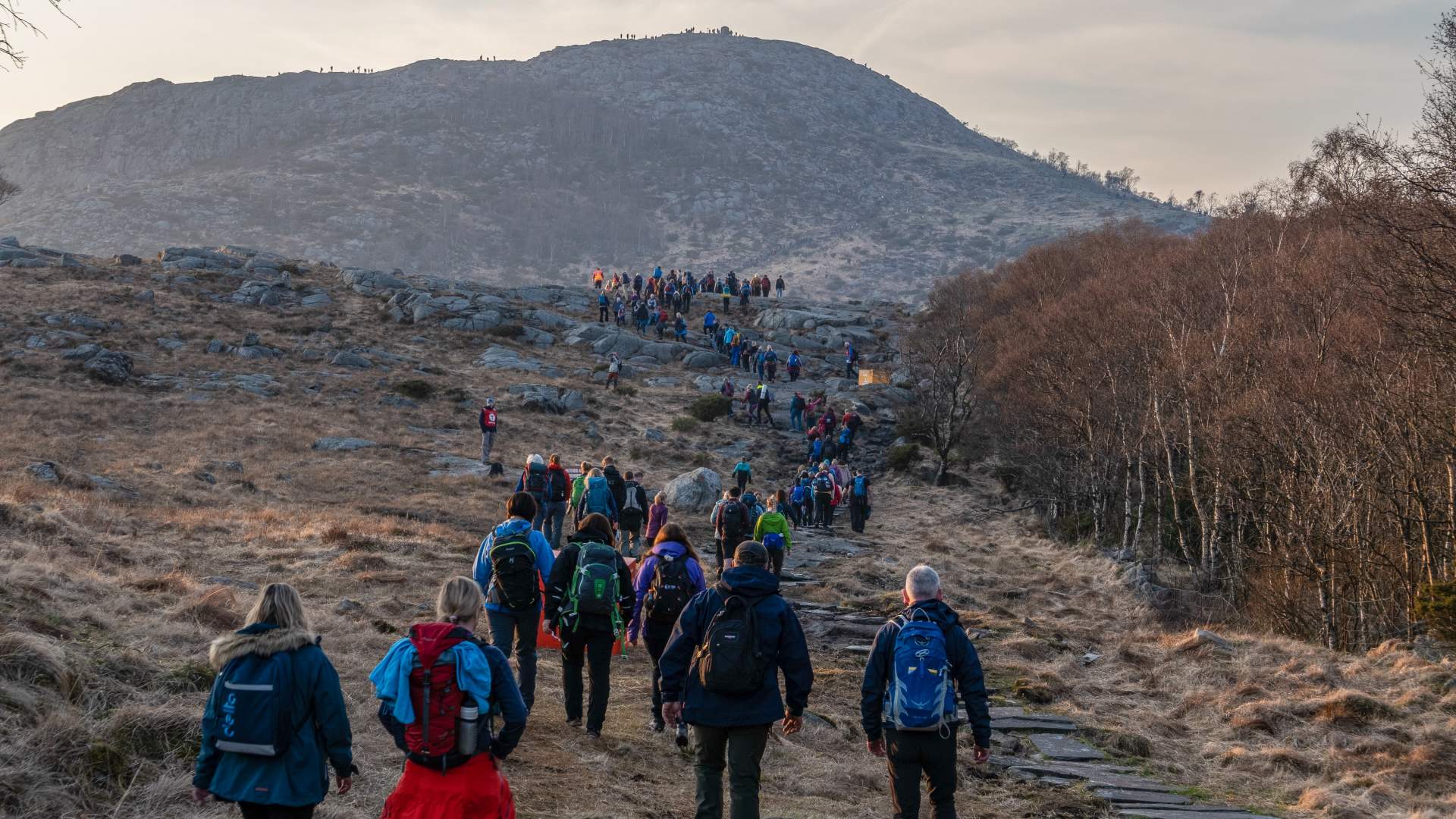 Fjelltur til Dalsnuten