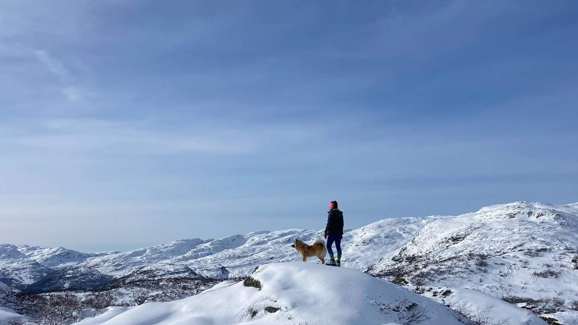 Turguiden Vardesyk i Sauda