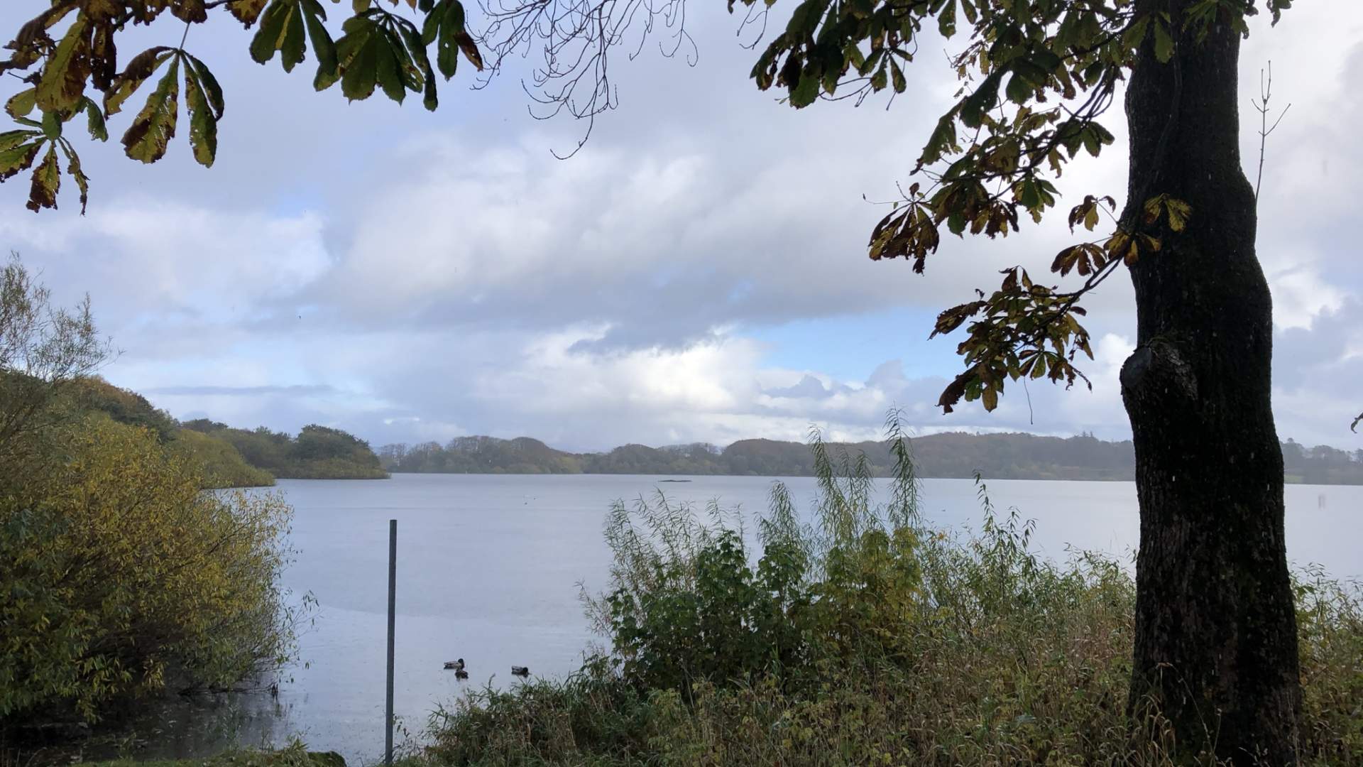 Mosvatnet/Vålandskogen