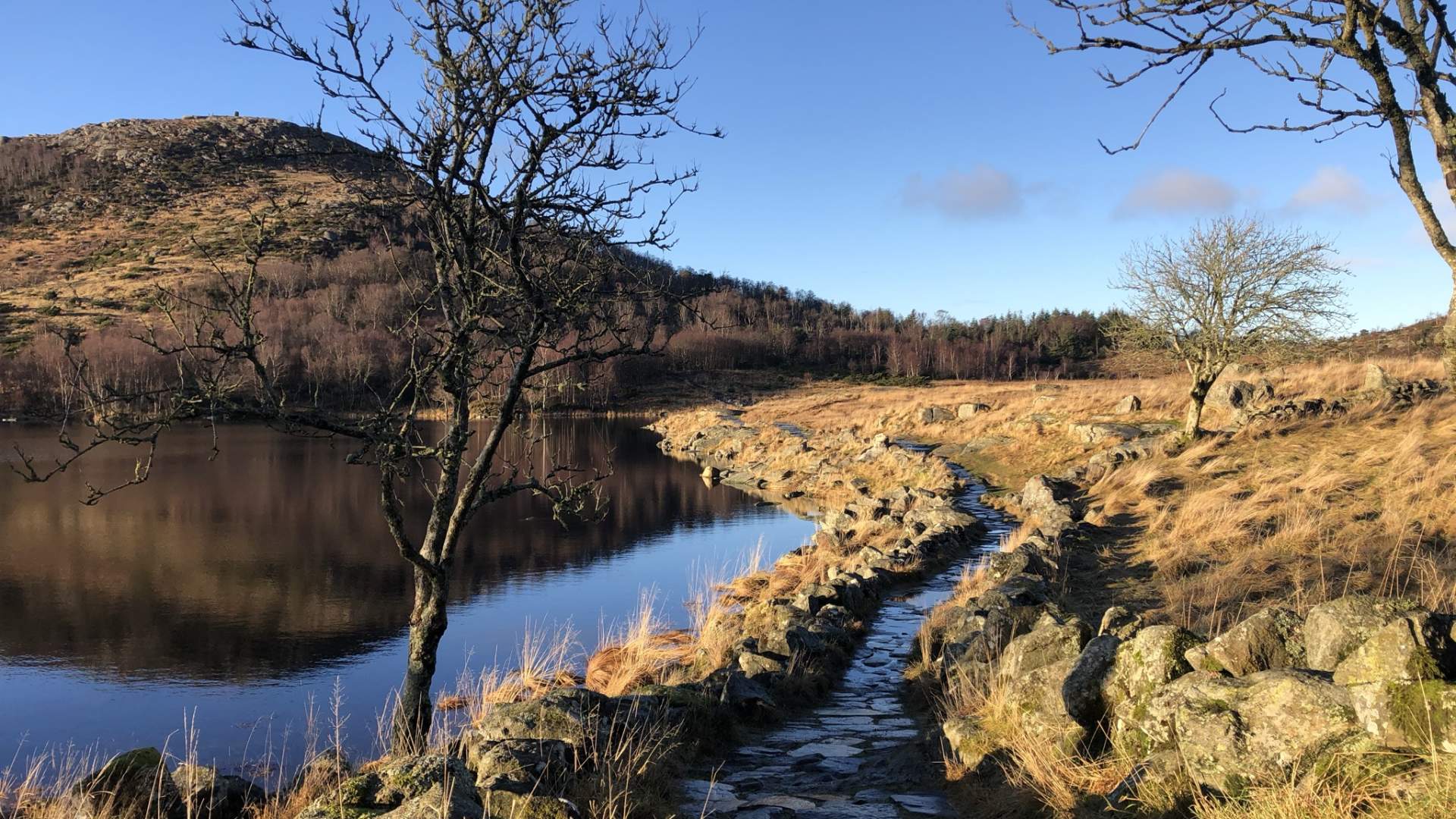 Fjelltur til Dalsnuten