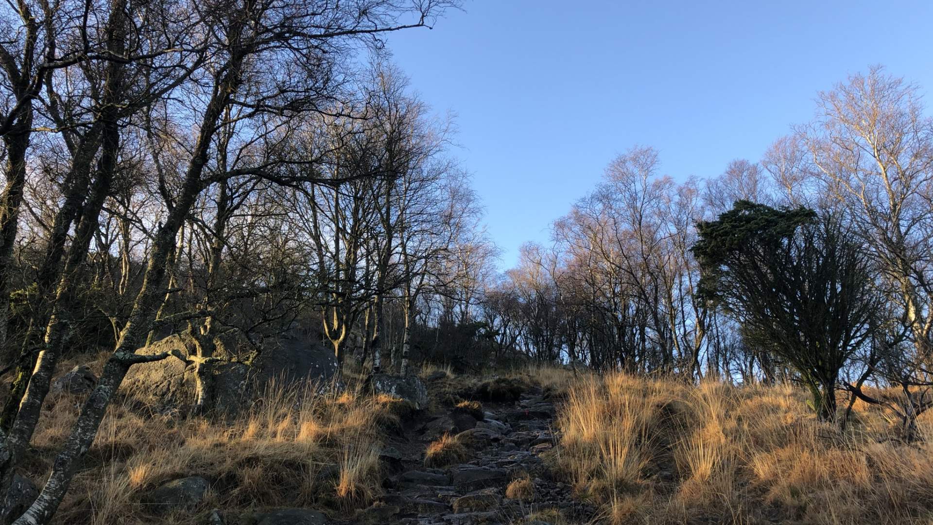 Fjelltur til Dalsnuten