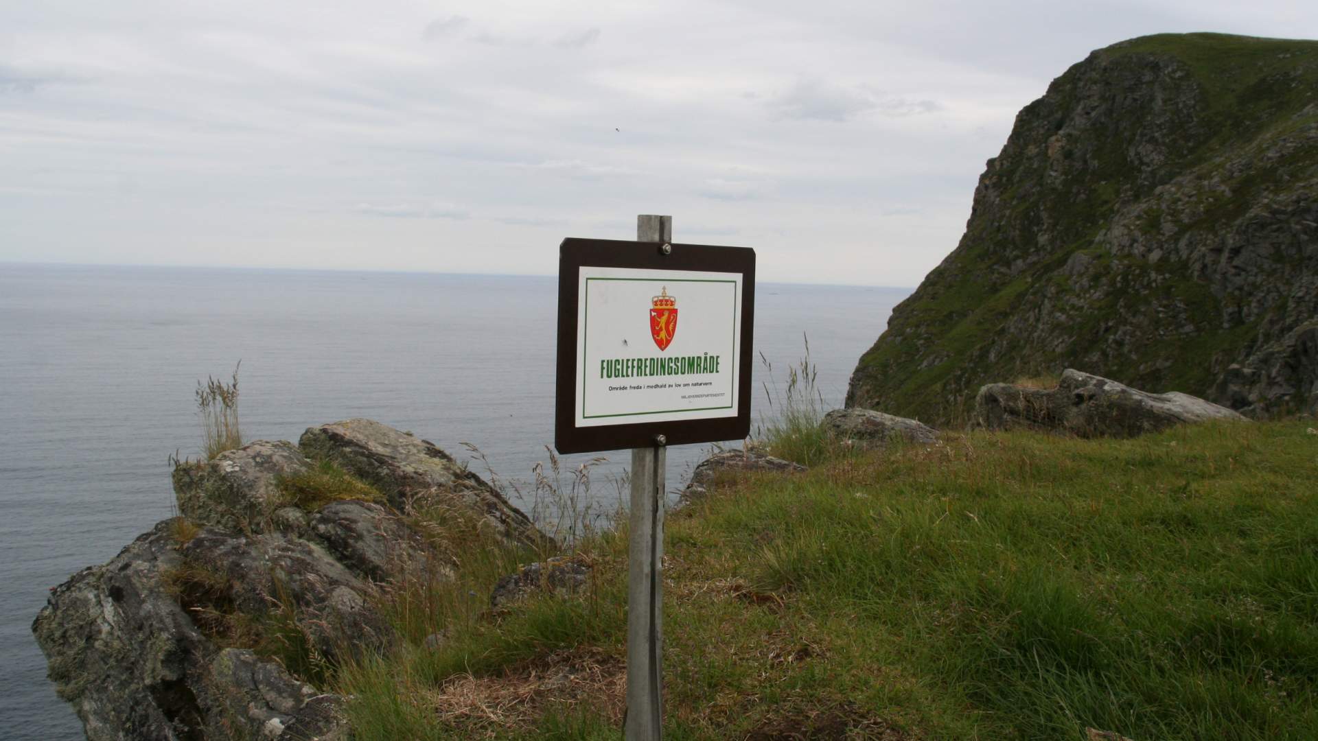 Hiking trip to Rundebranden (300 masl.)