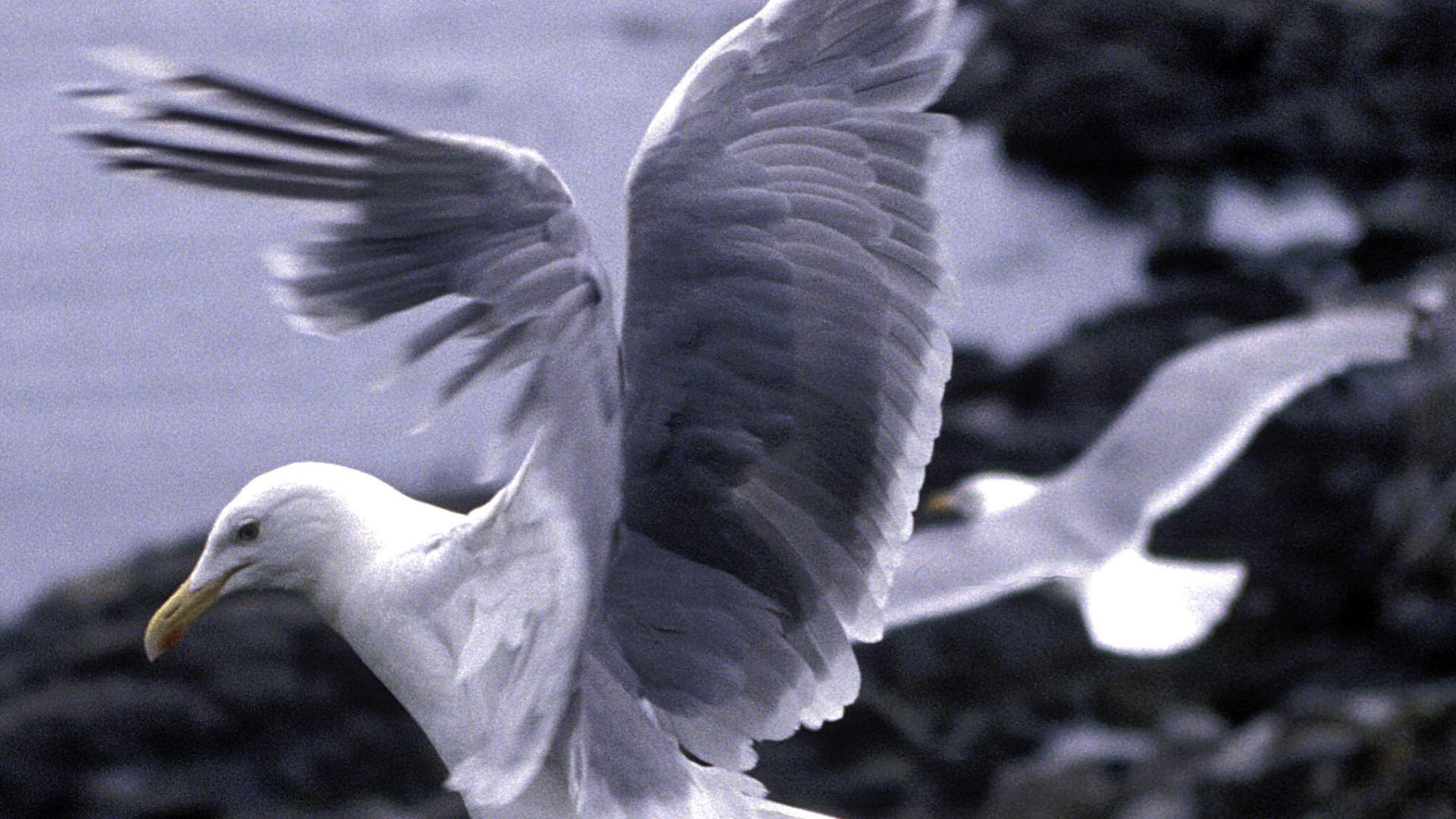 Hiking trip to Rundebranden (300 masl.)