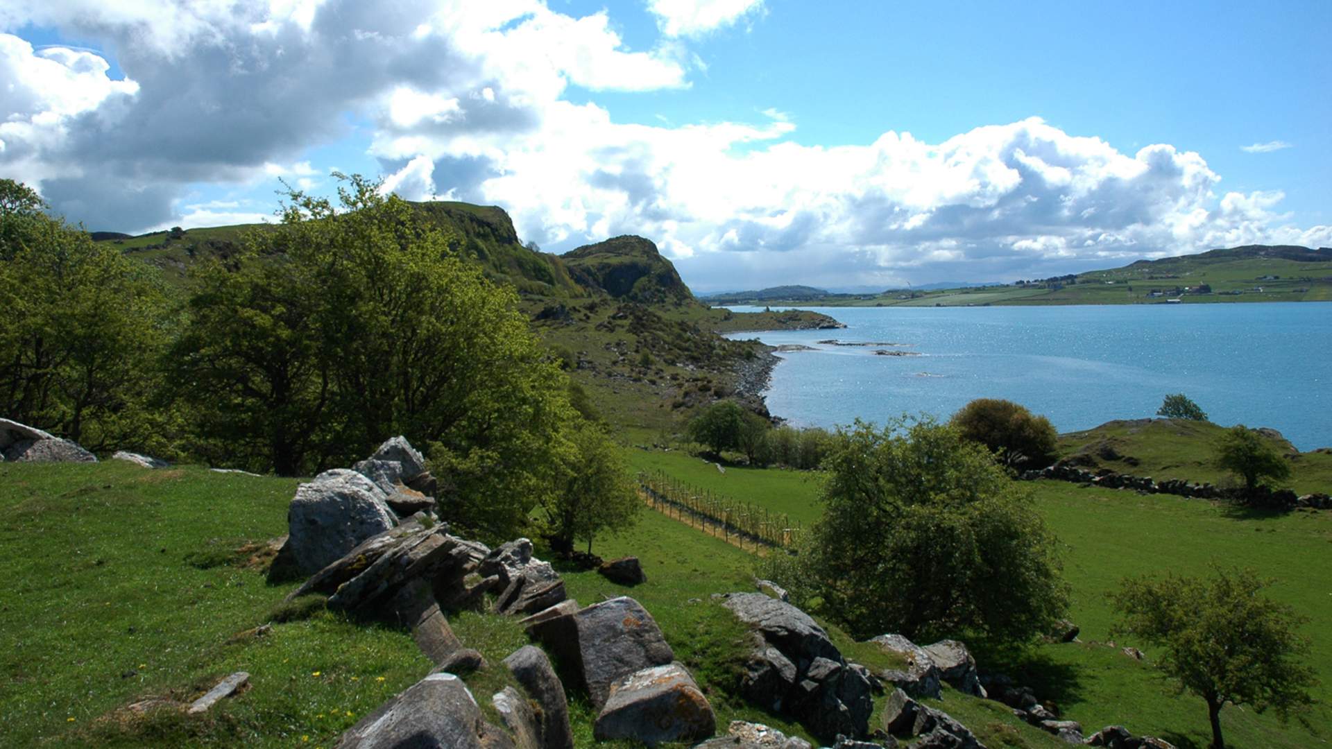 Fra Bø til Knott - en smak av Irland