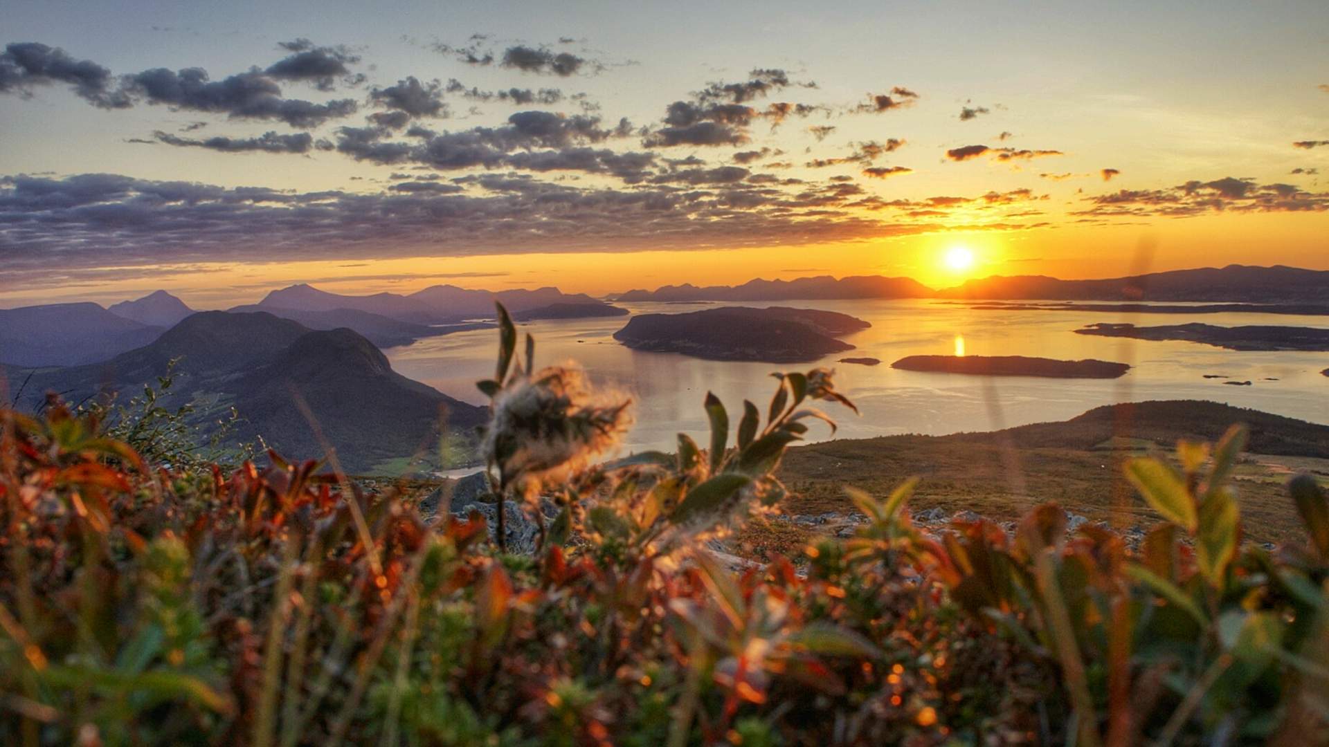 Mountain hike to Tarløysa (1086 m.a.s.l.)