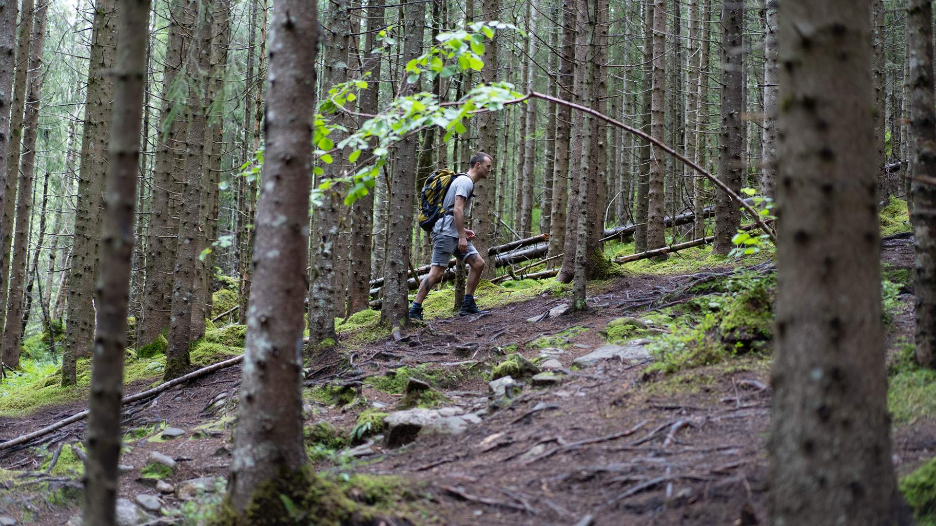Wandertour Die Trollkirche
