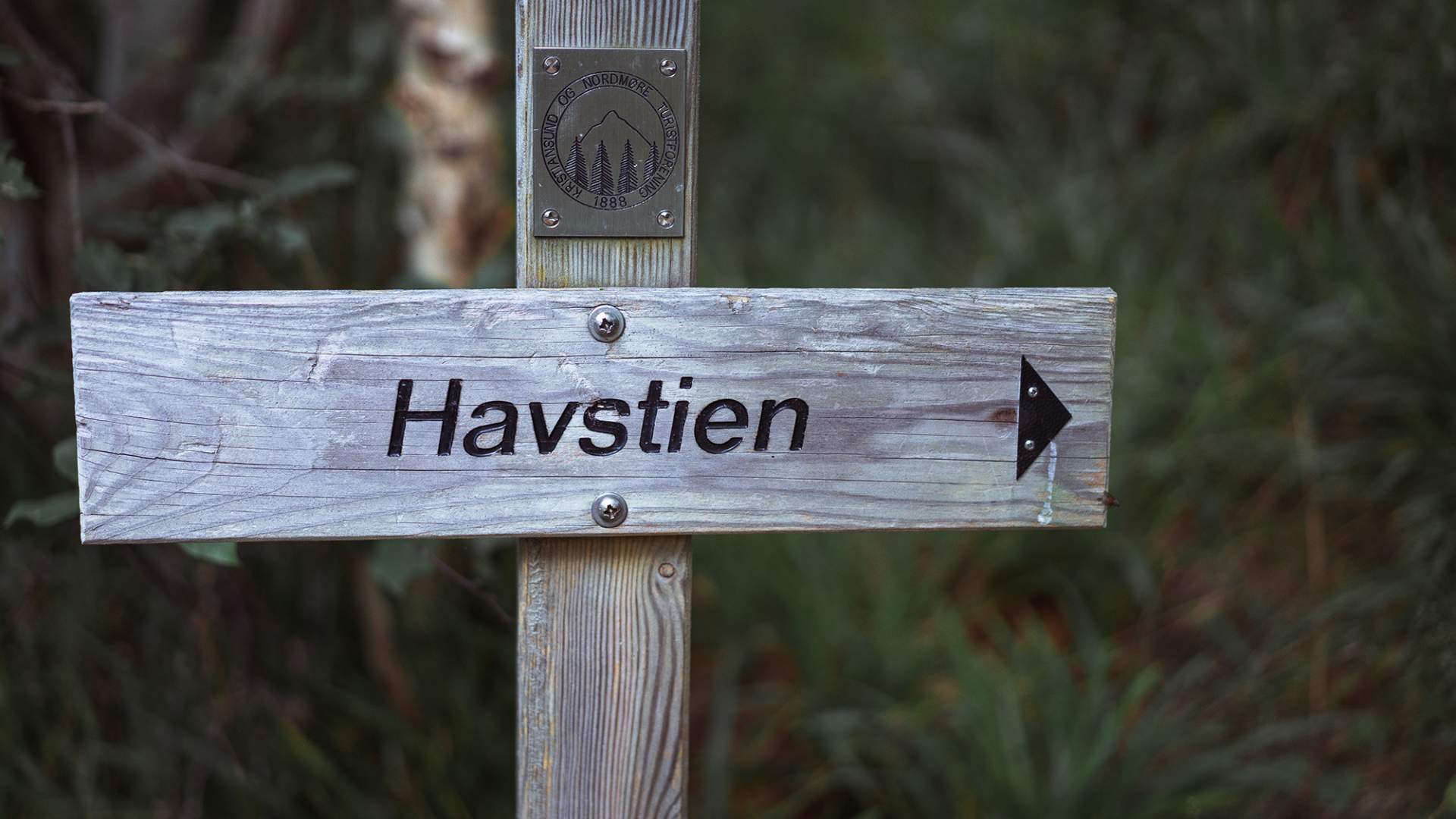 Costal hiking at "Havstien" in Kristiansund