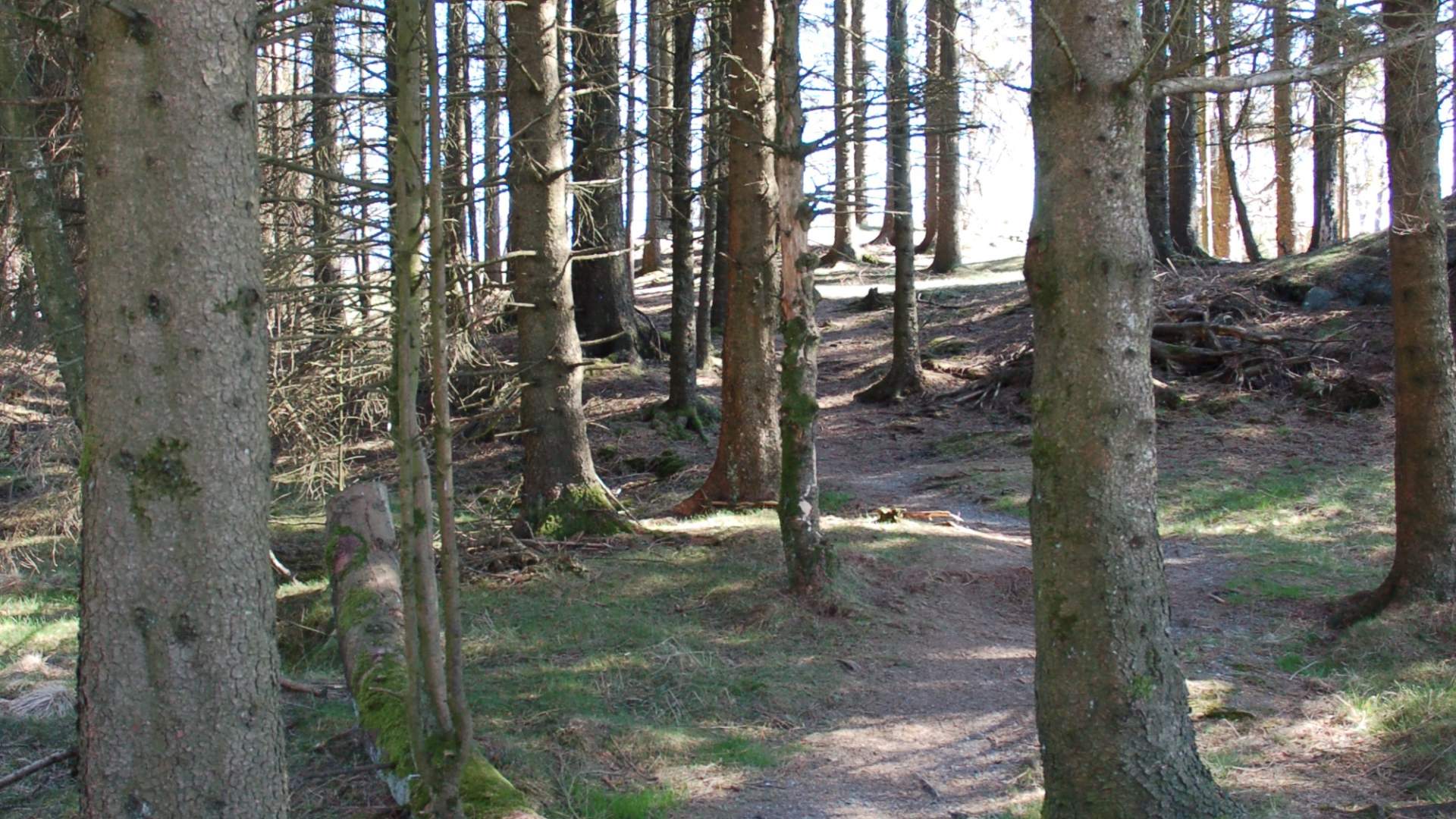 Teigen recreational area