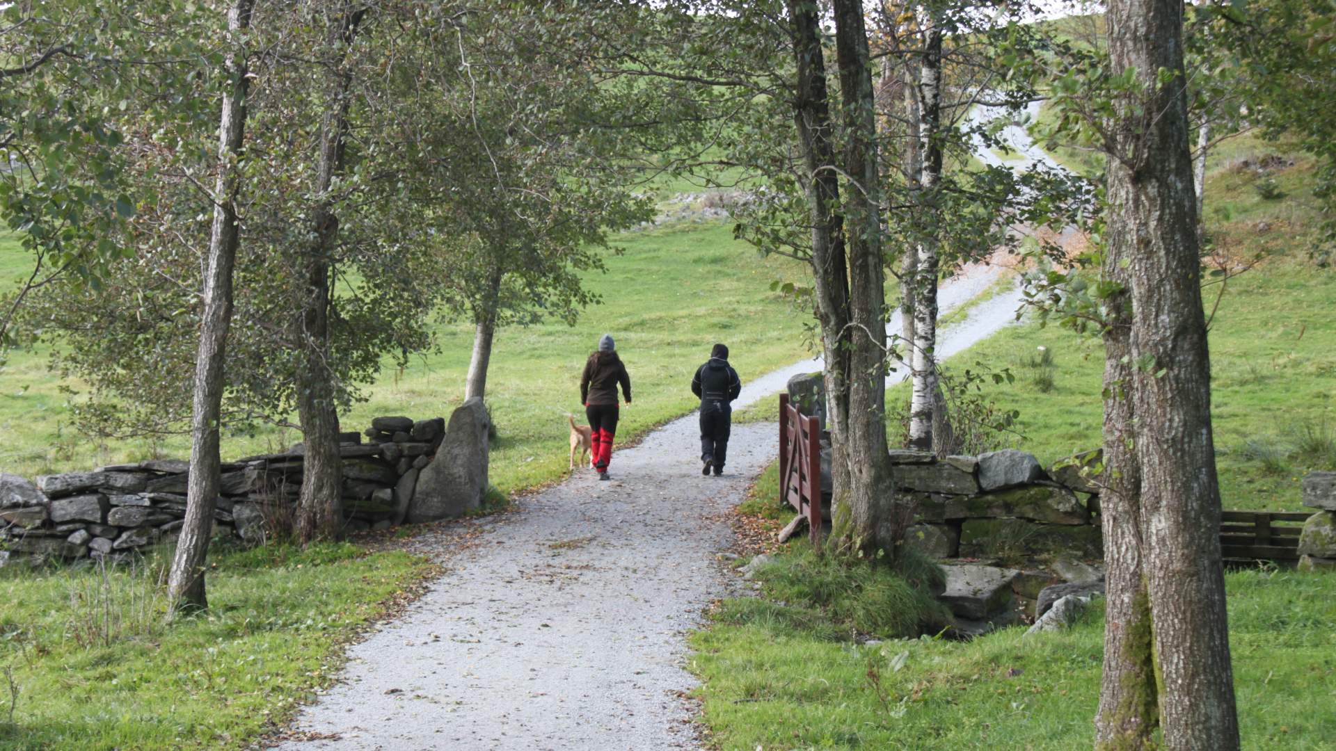 Klubben - tur til Talgjes høyeste punkt