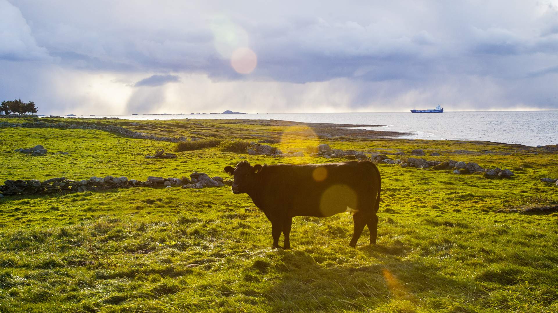 Hike from Viste to Tungenes