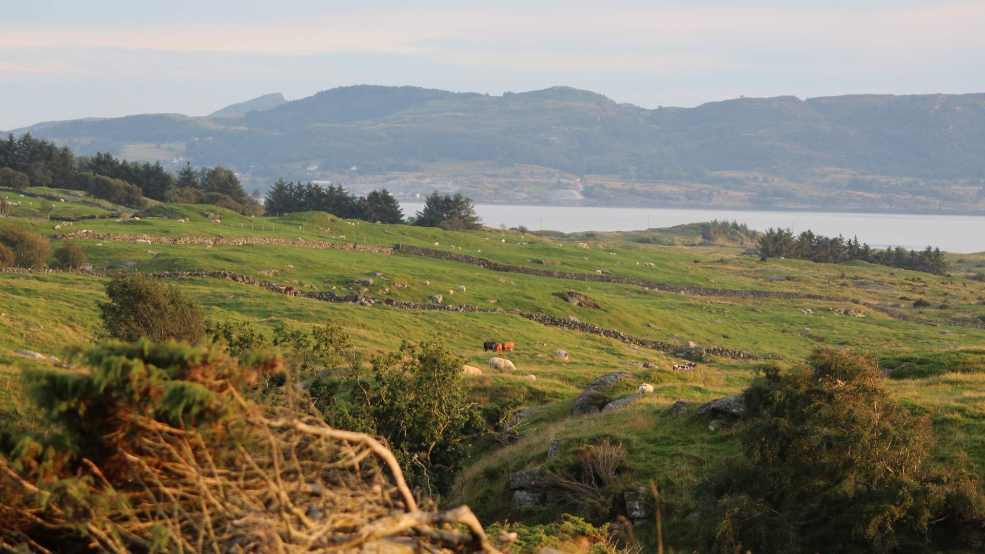 Wanderung von Kvitevik nach Vignesneset