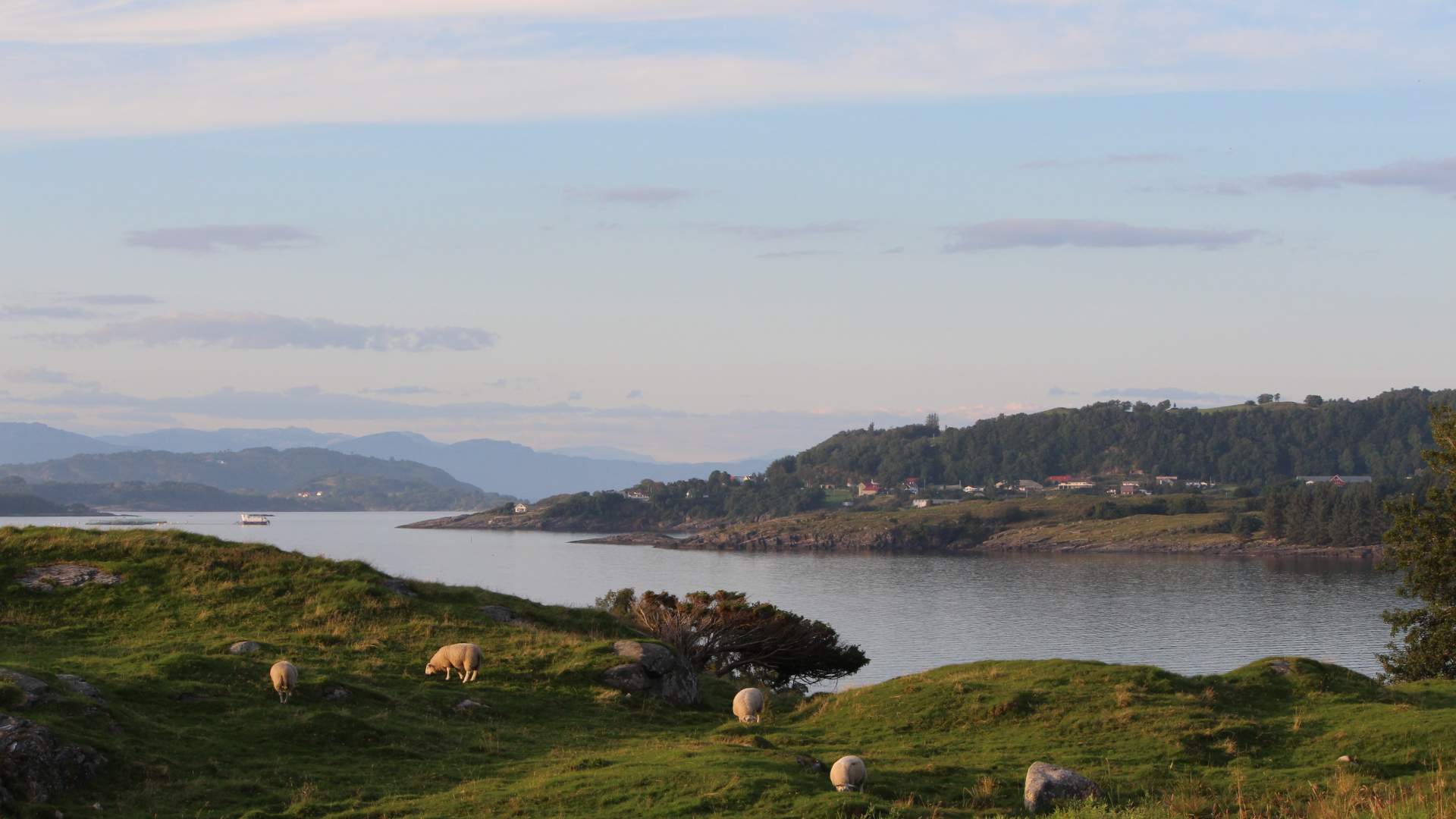 Wanderung von Kvitevik nach Vignesneset