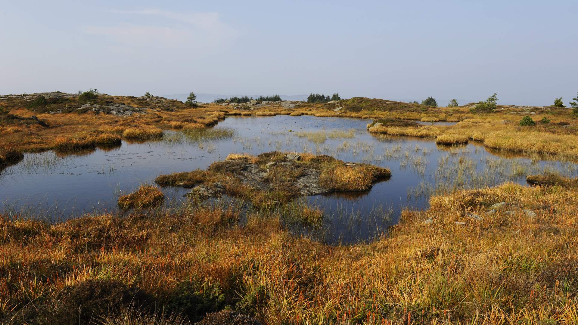 The North Sea Trail Mølstrevåg - Buavåg