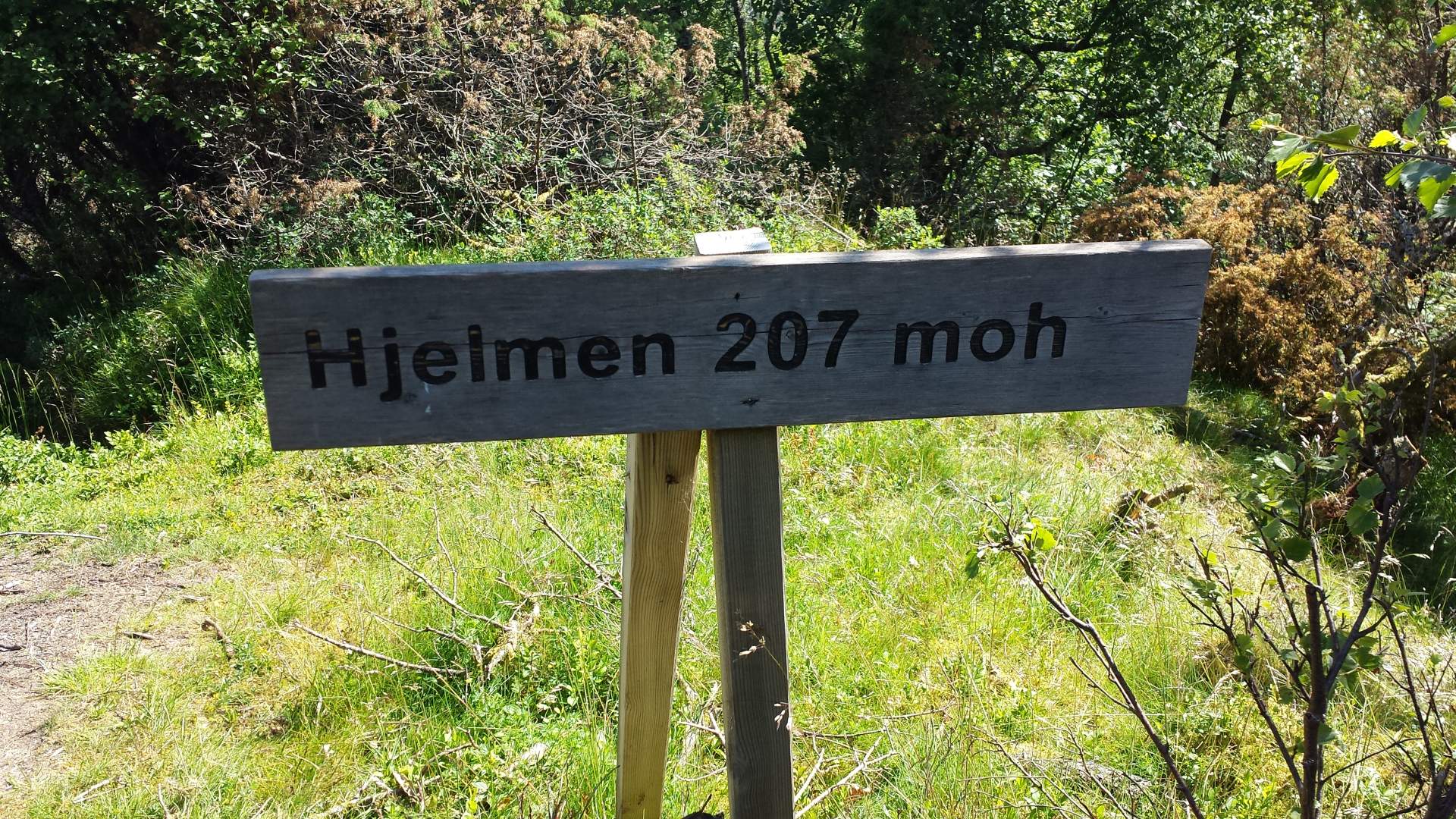 Hjelmen