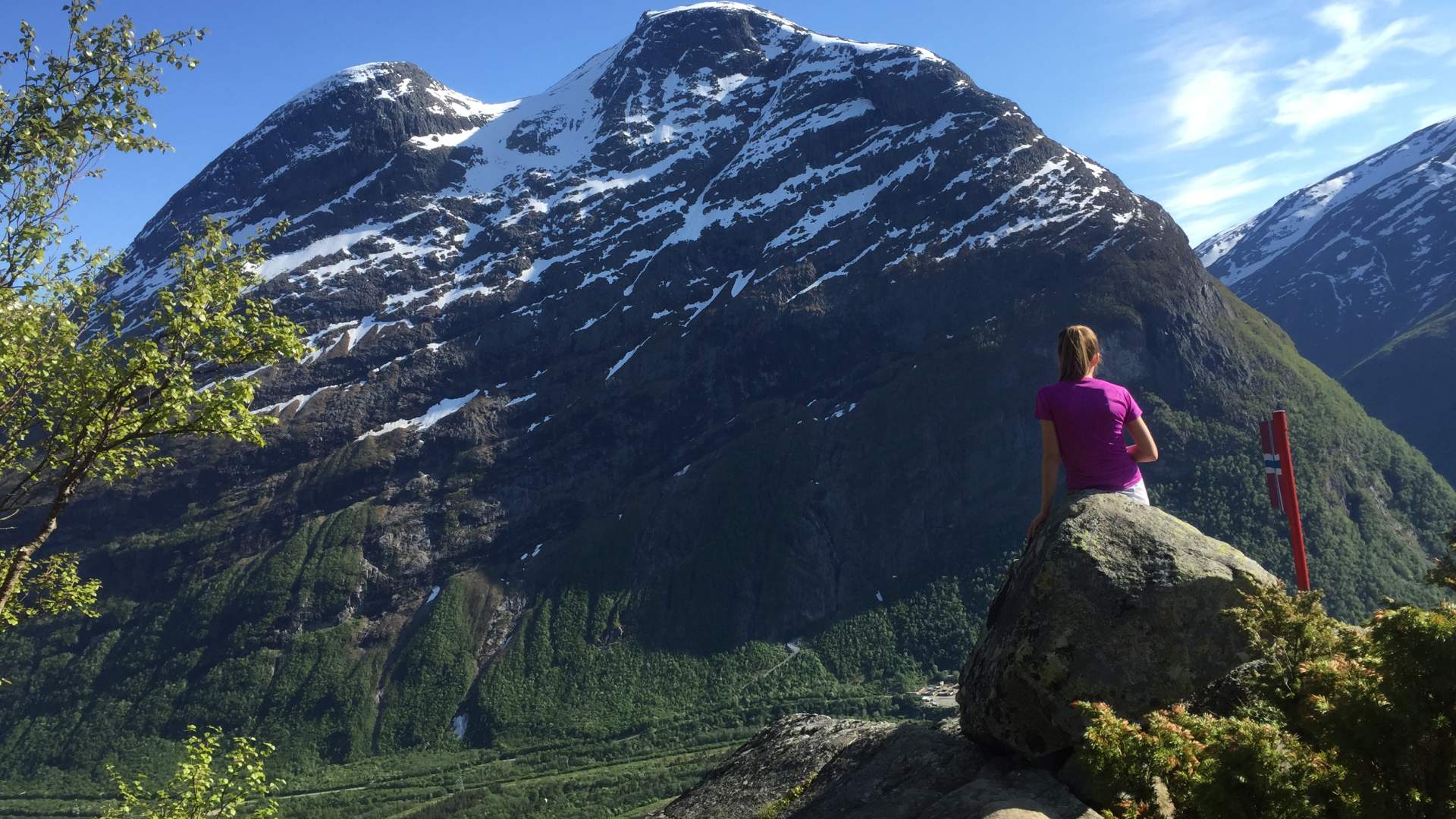 Flaggnuten i Sunndal