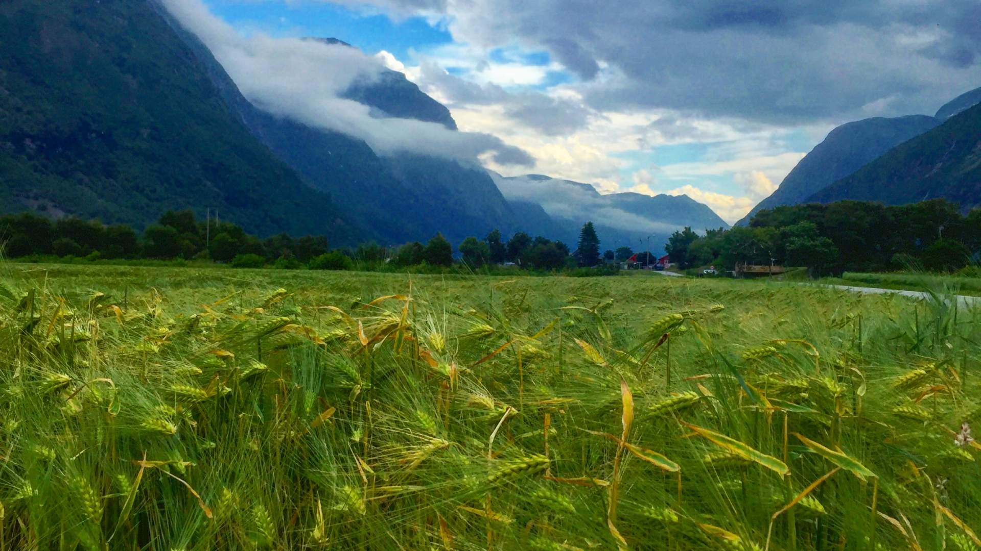 Hiking to Åsbrona, Sunndal