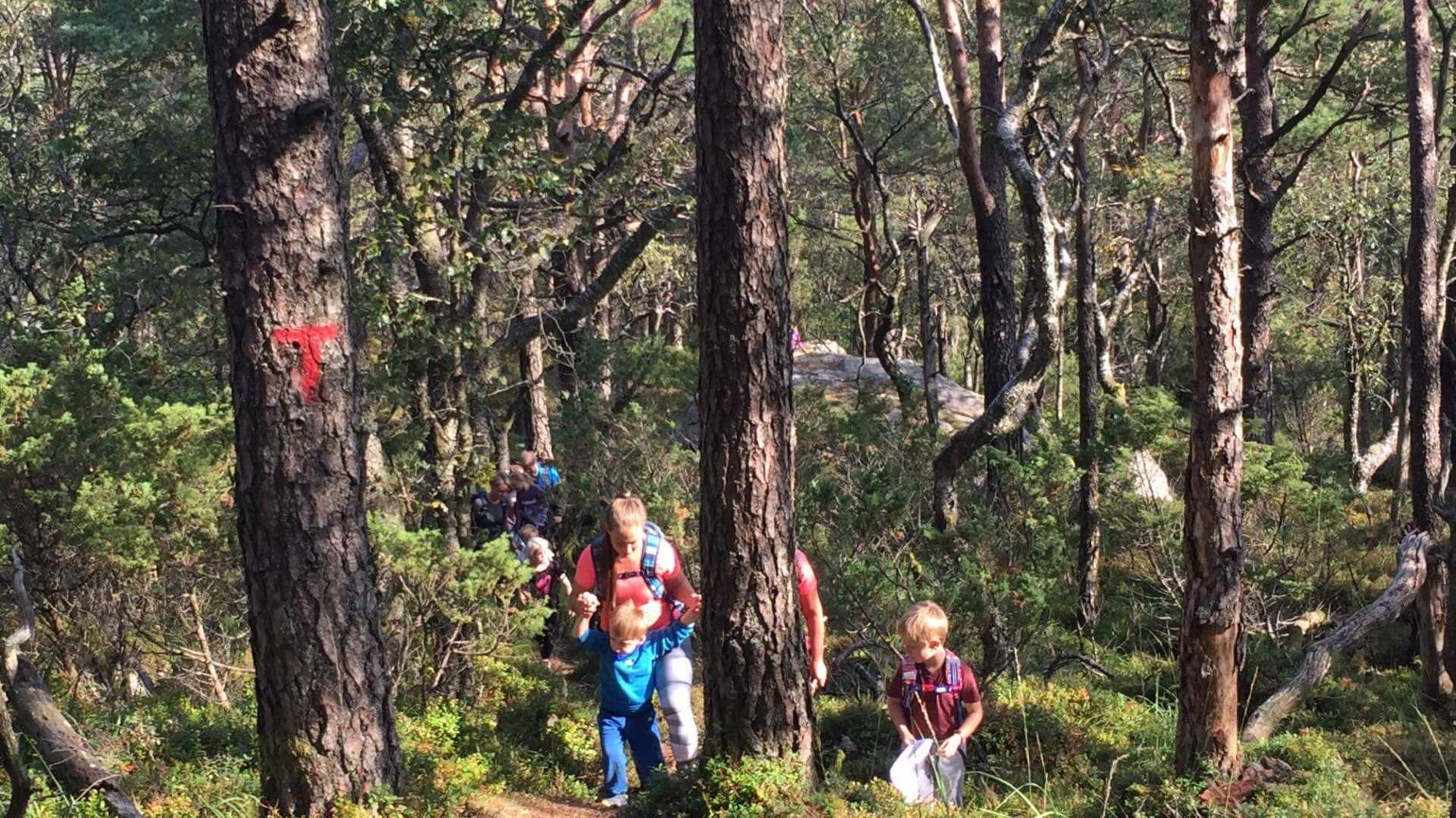 Rindatroll - Wanderung