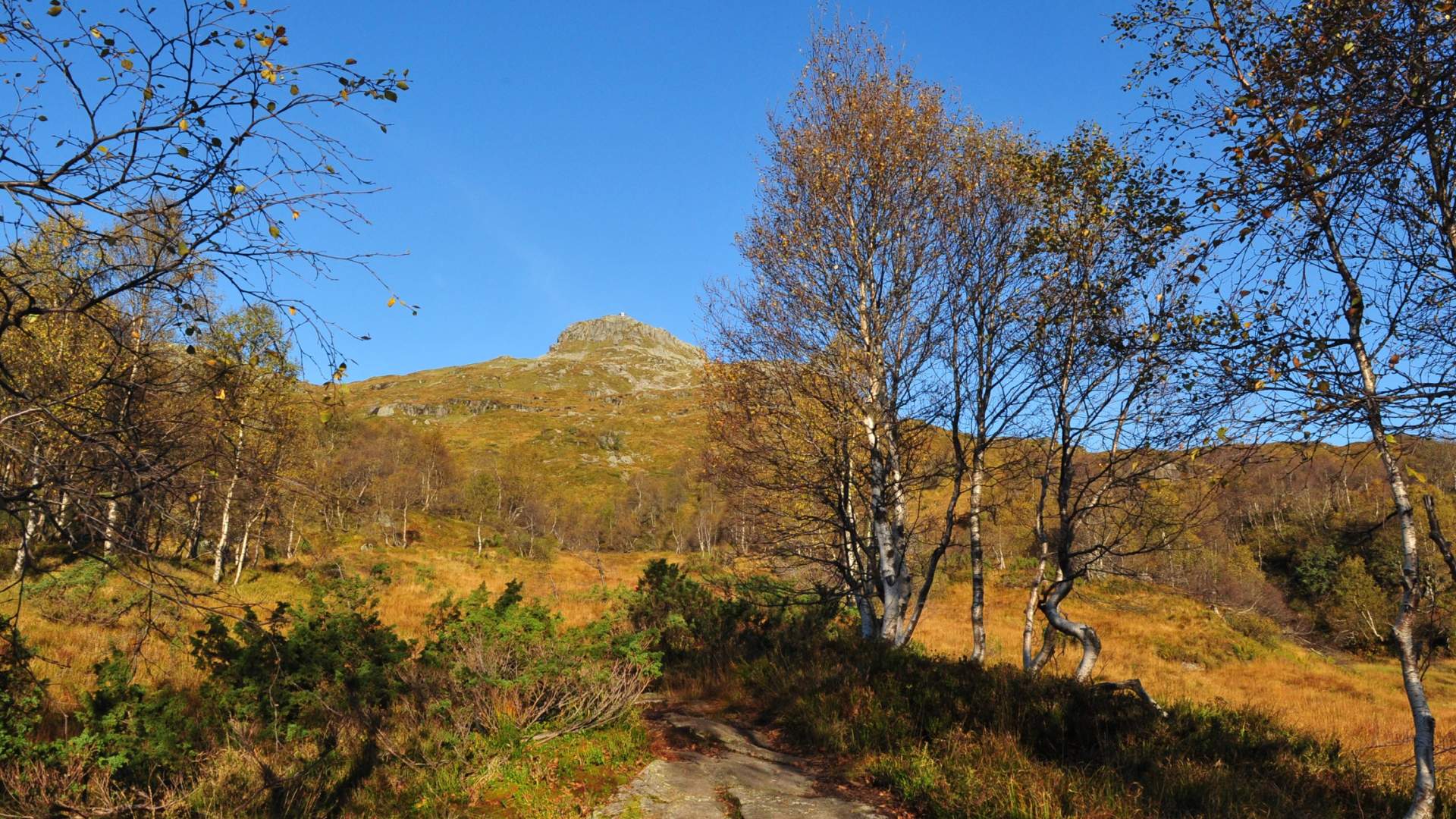 Fjelltur til Hovlandsnuten i Sauda