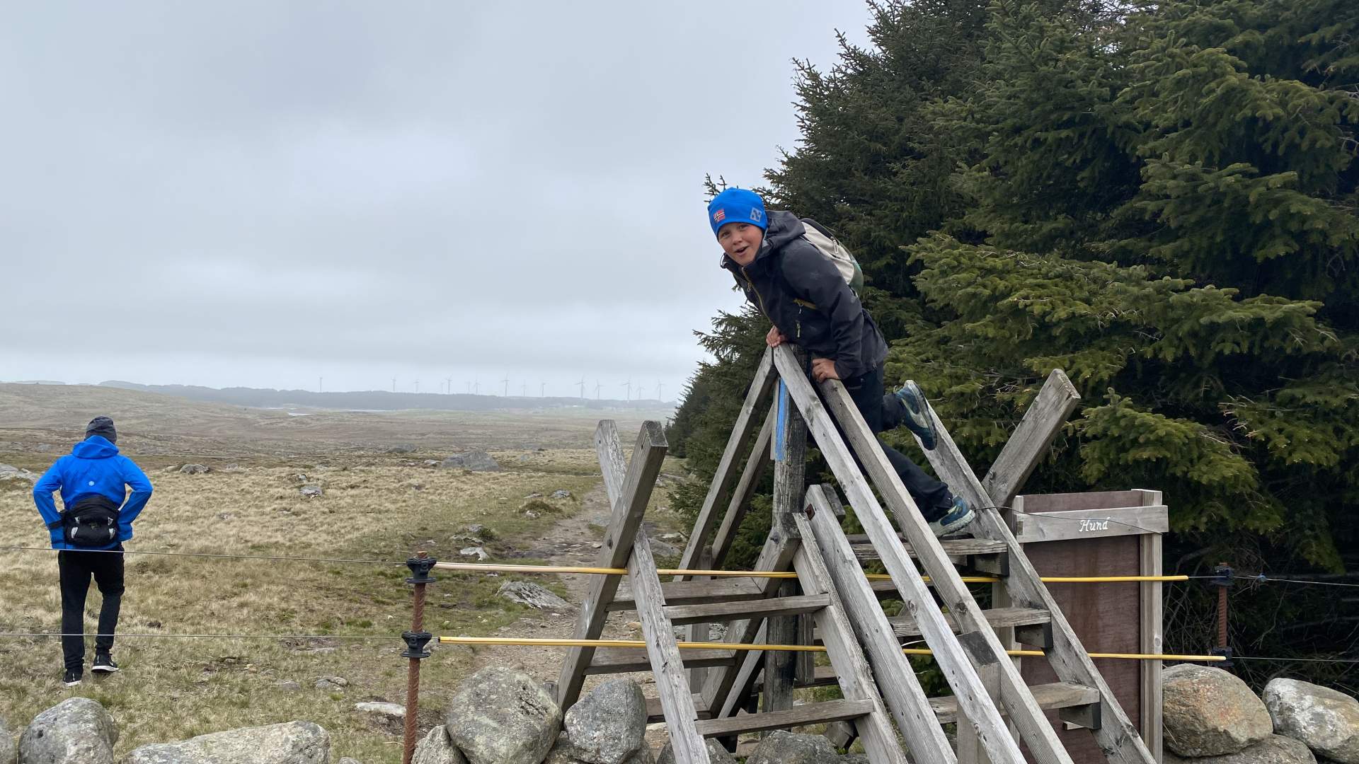 Mor Norge and Synesvarden