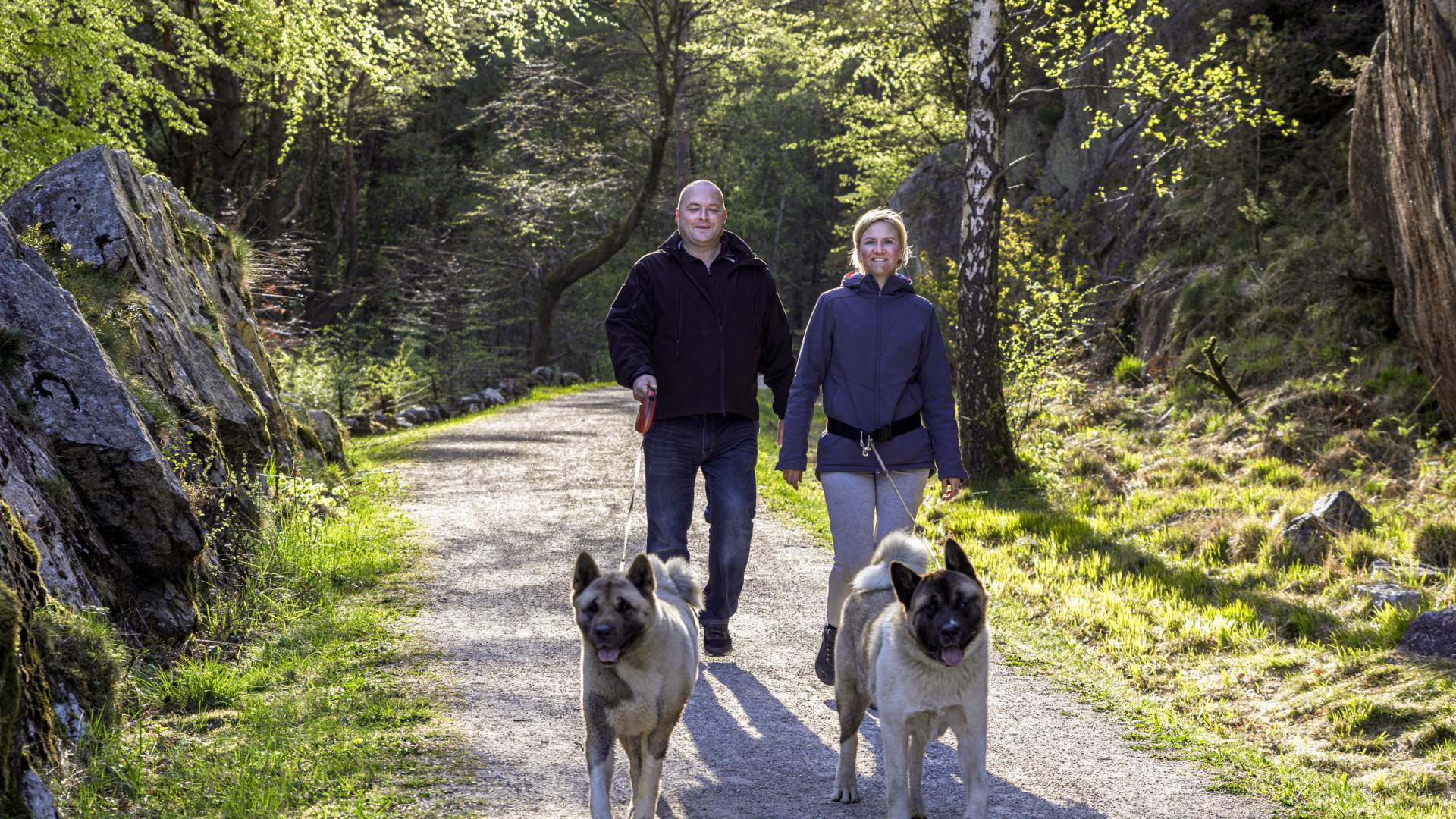 The old Jærbanen railway