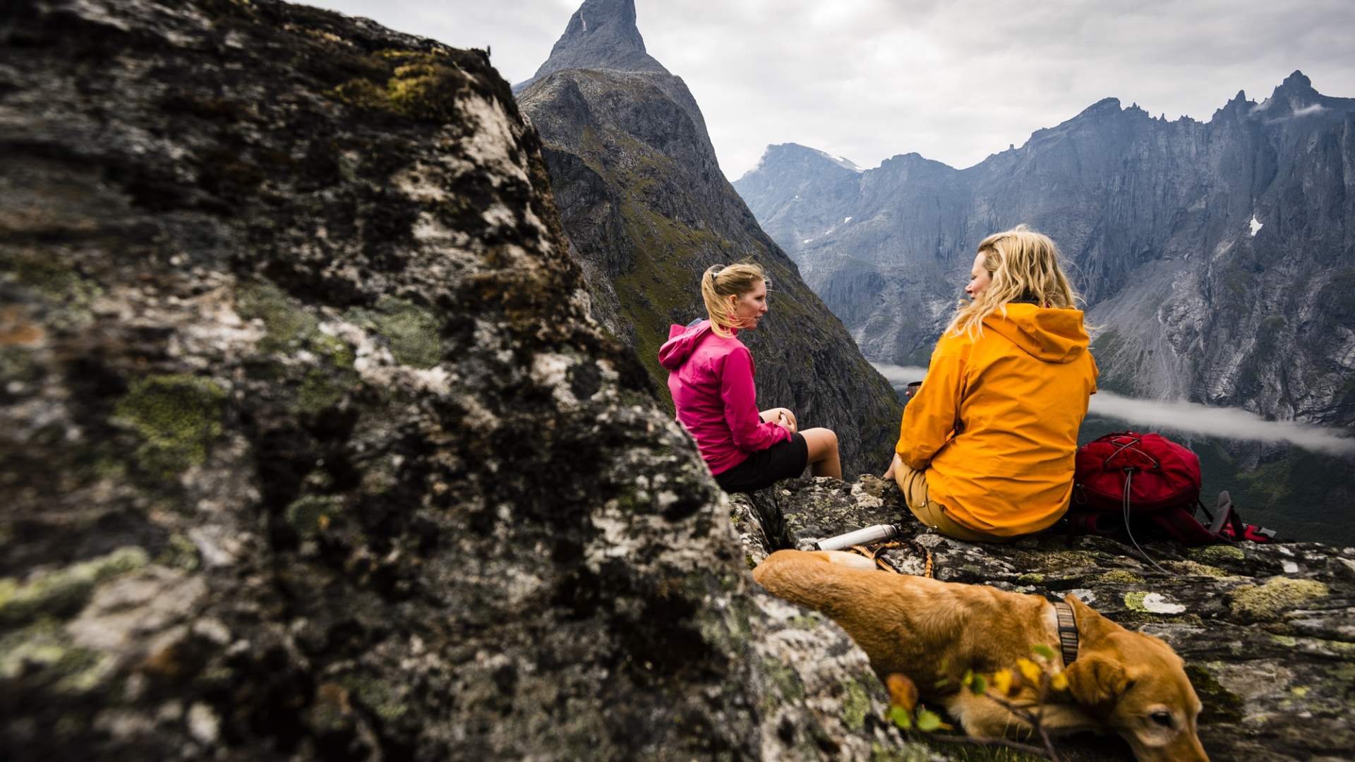 Der Berg Litlefjellet (790 M.ü.M)