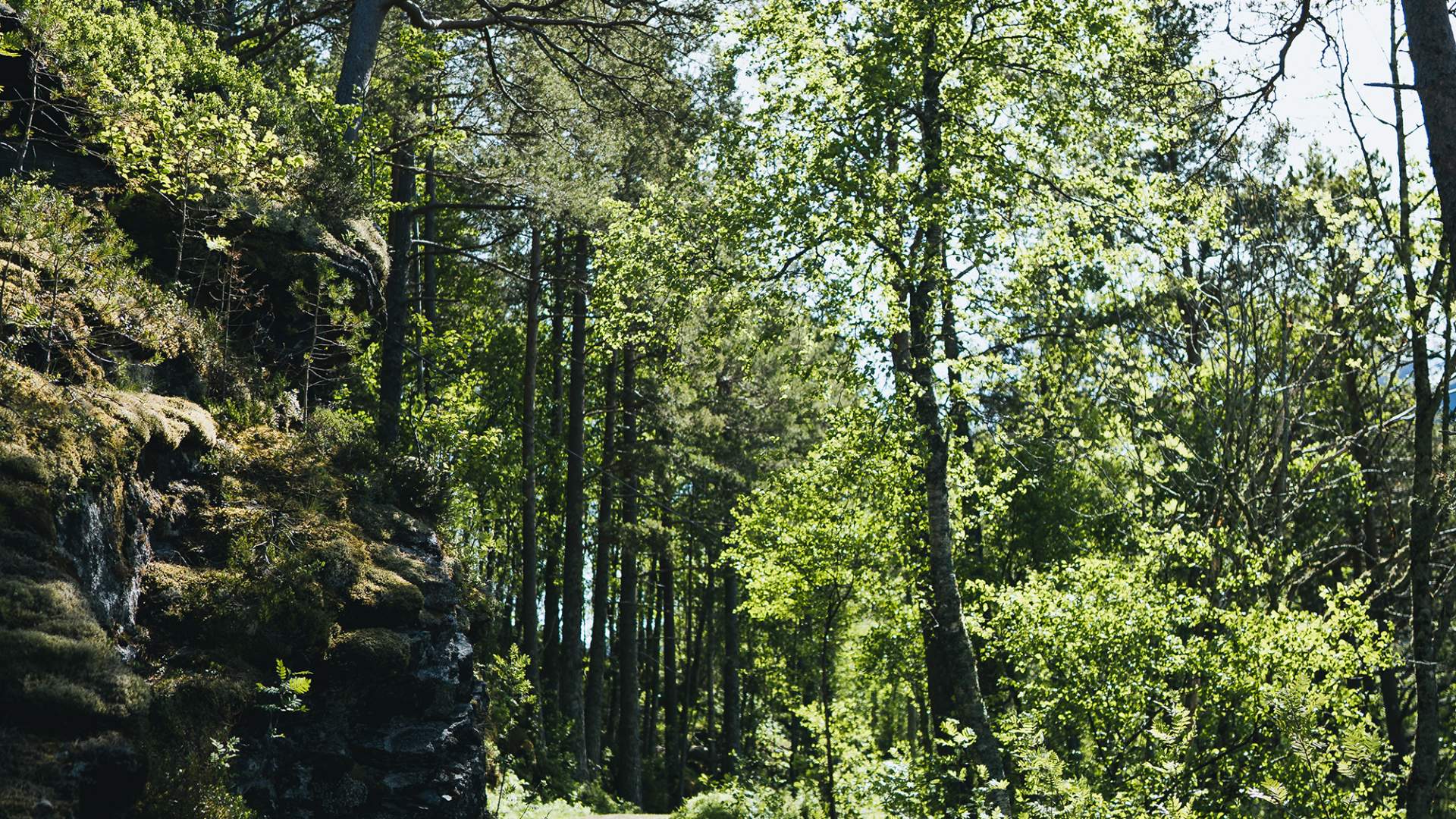 Svinvikrunden hiking