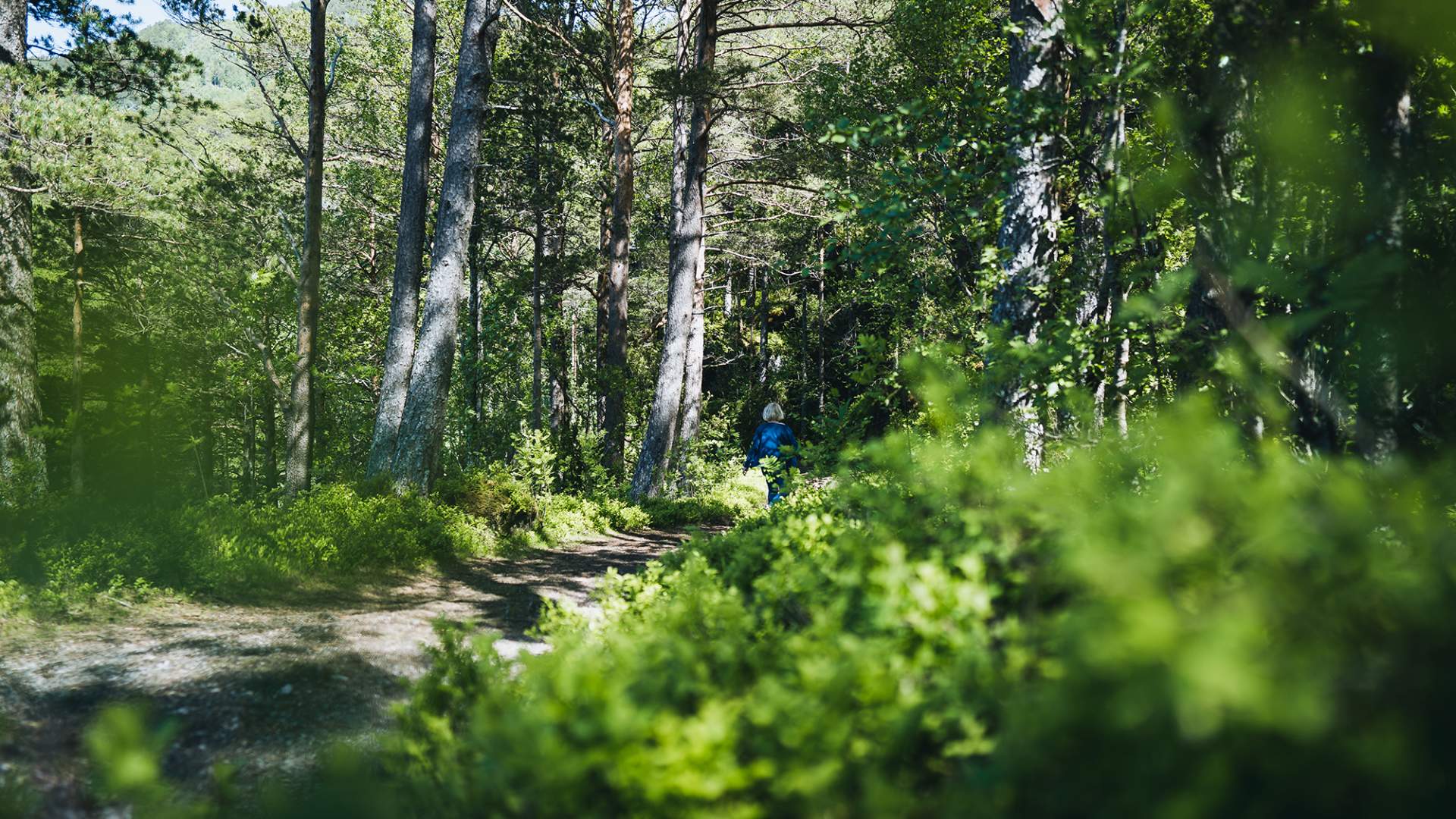 Svinvikrunden hiking