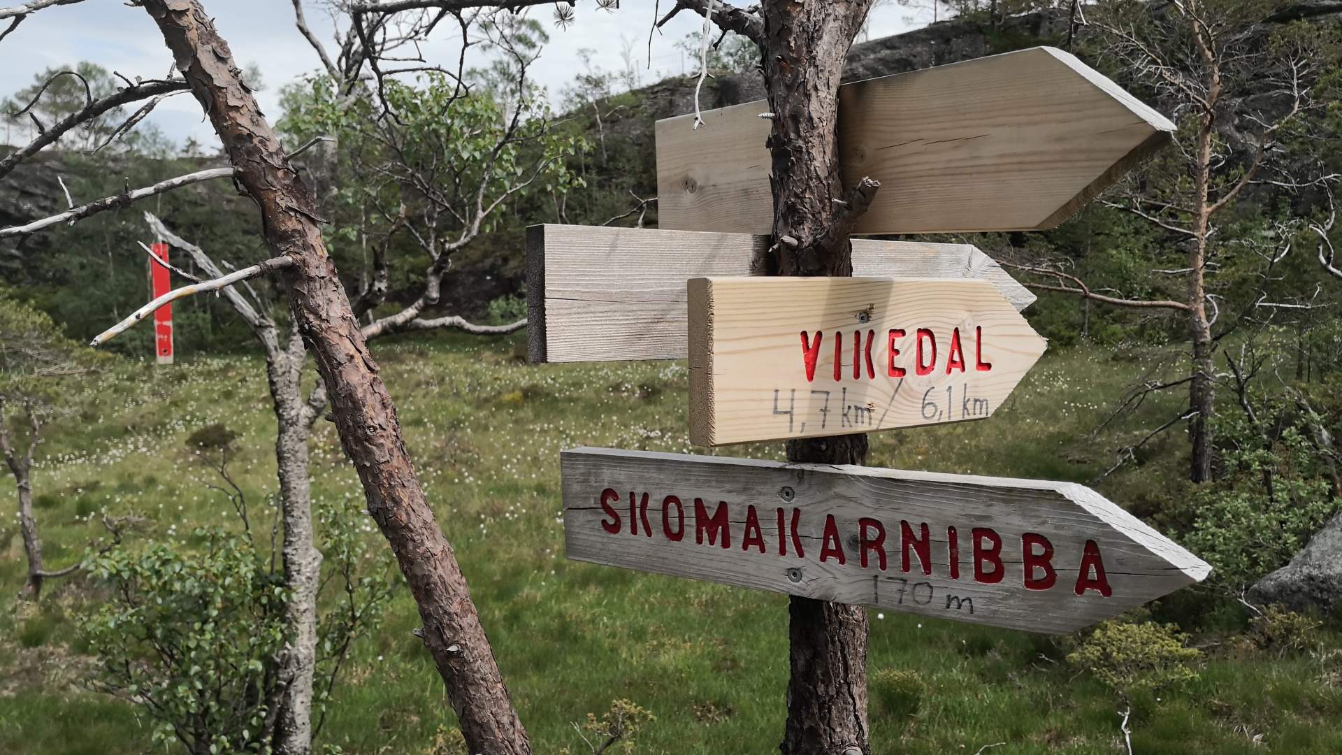 Skomakarnibba i Vikedal