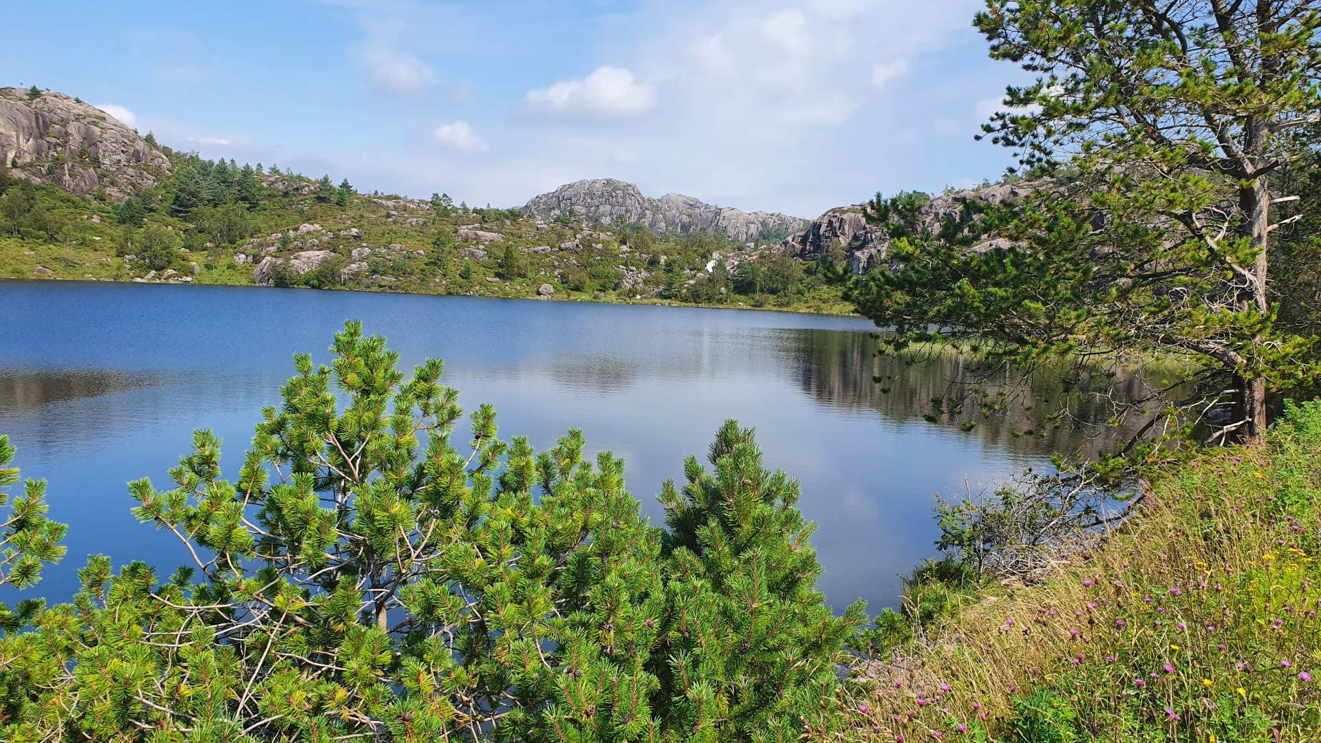 The old Jærbanen railway