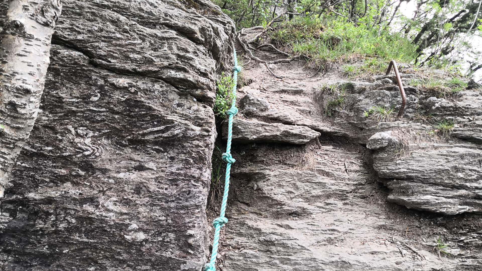 Skomakarnibba i Vikedal