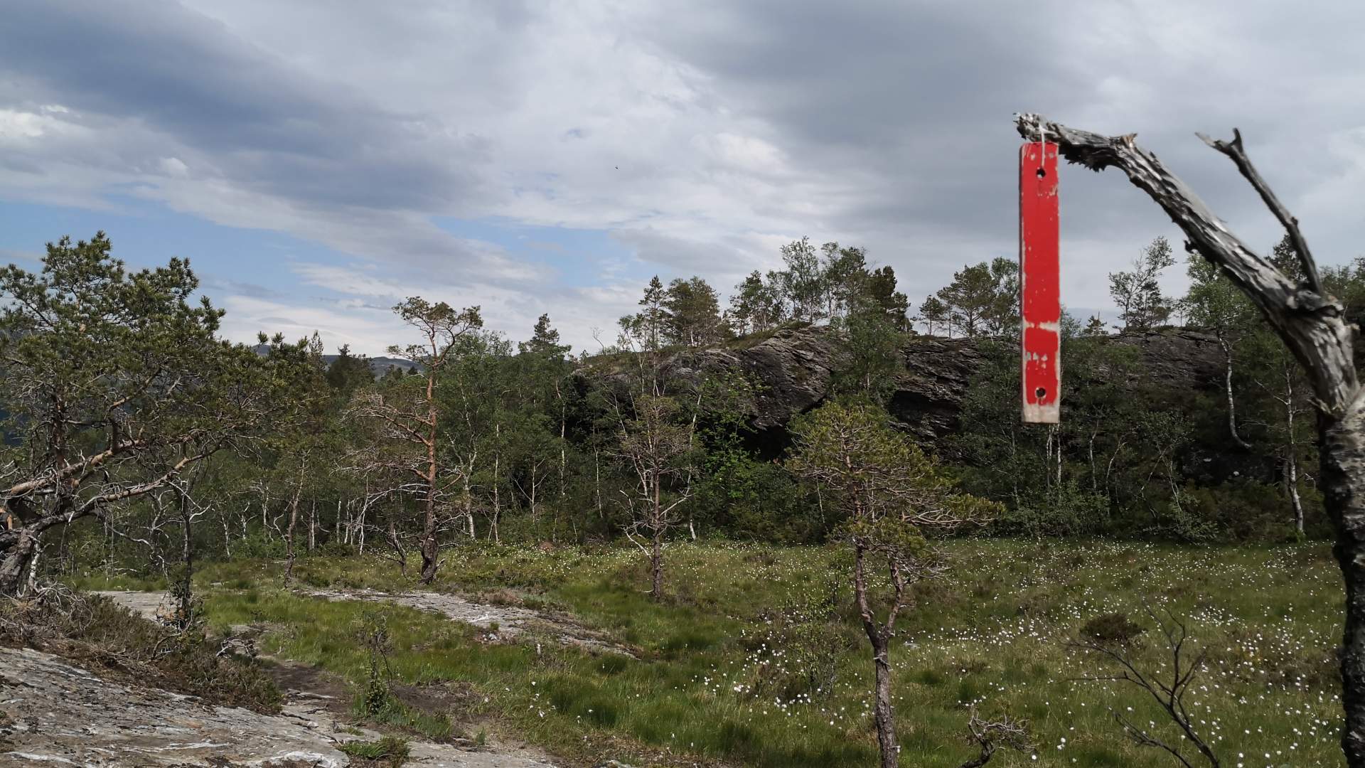 Skomakarnibba i Vikedal