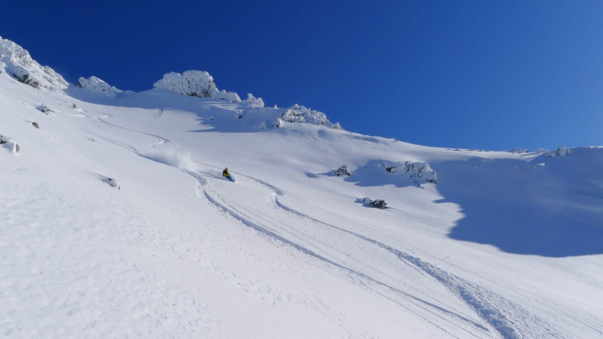 Skjervan (1545 moh.)