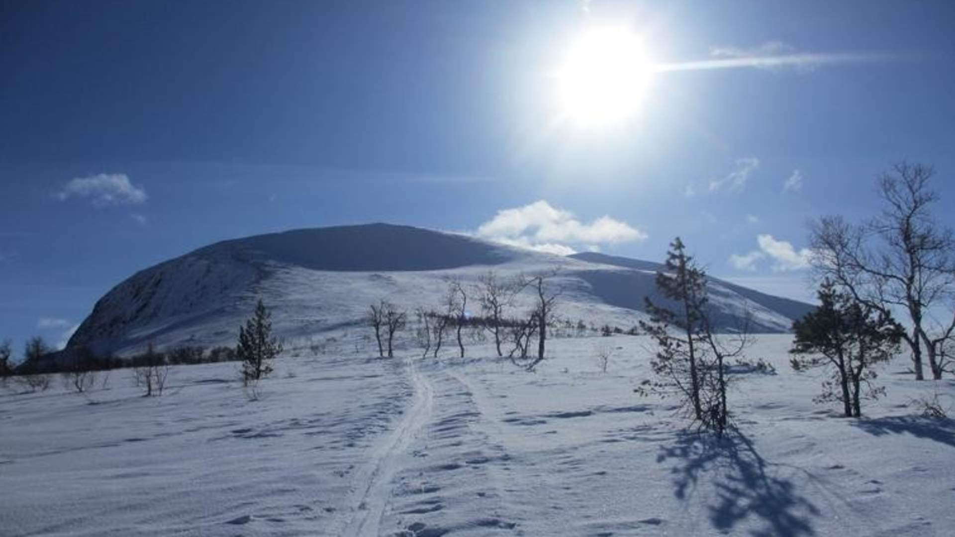 Topptur på ski til Tarløysa (1086 moh)