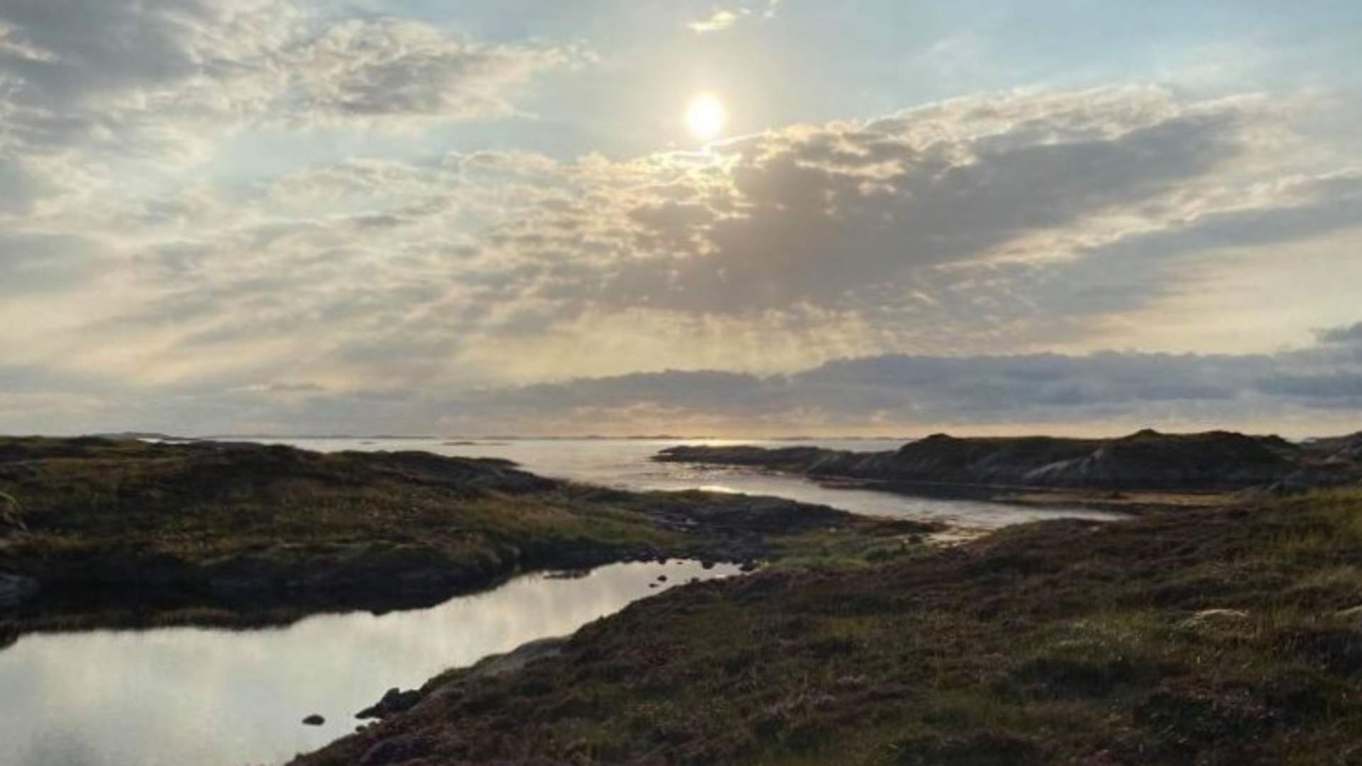 Måøya - tur langs havkanten