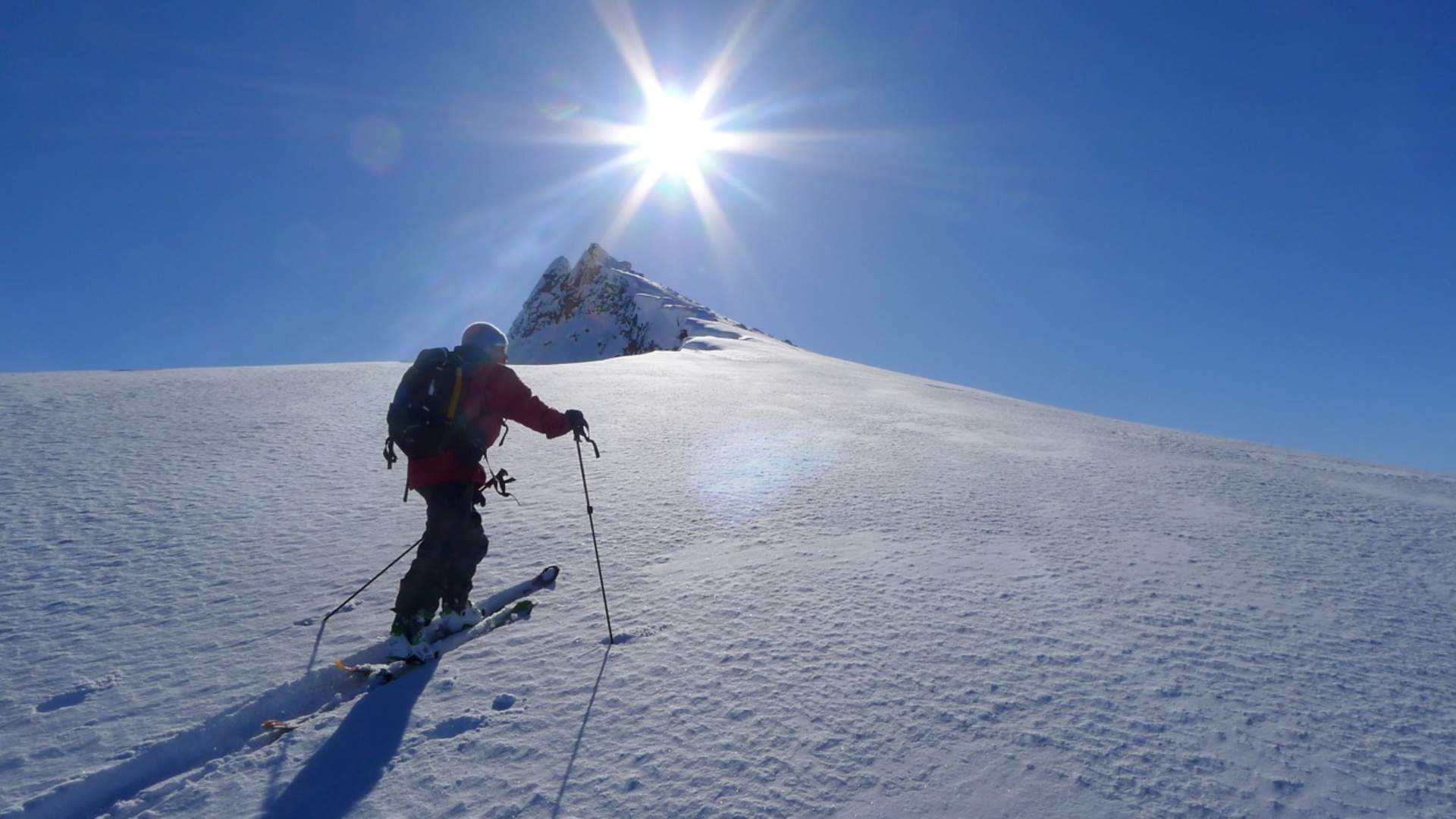 Skjervan (1545 moh.)