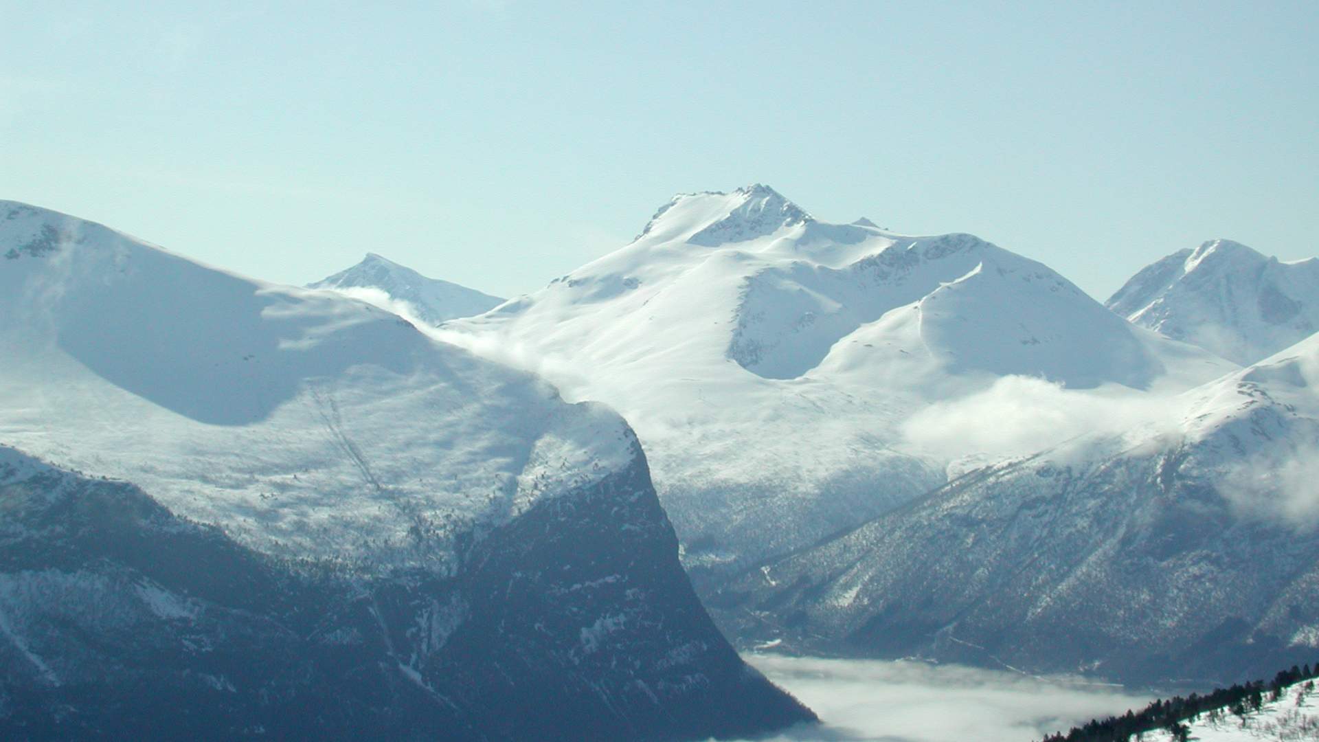 Skjervan (1545 moh.)