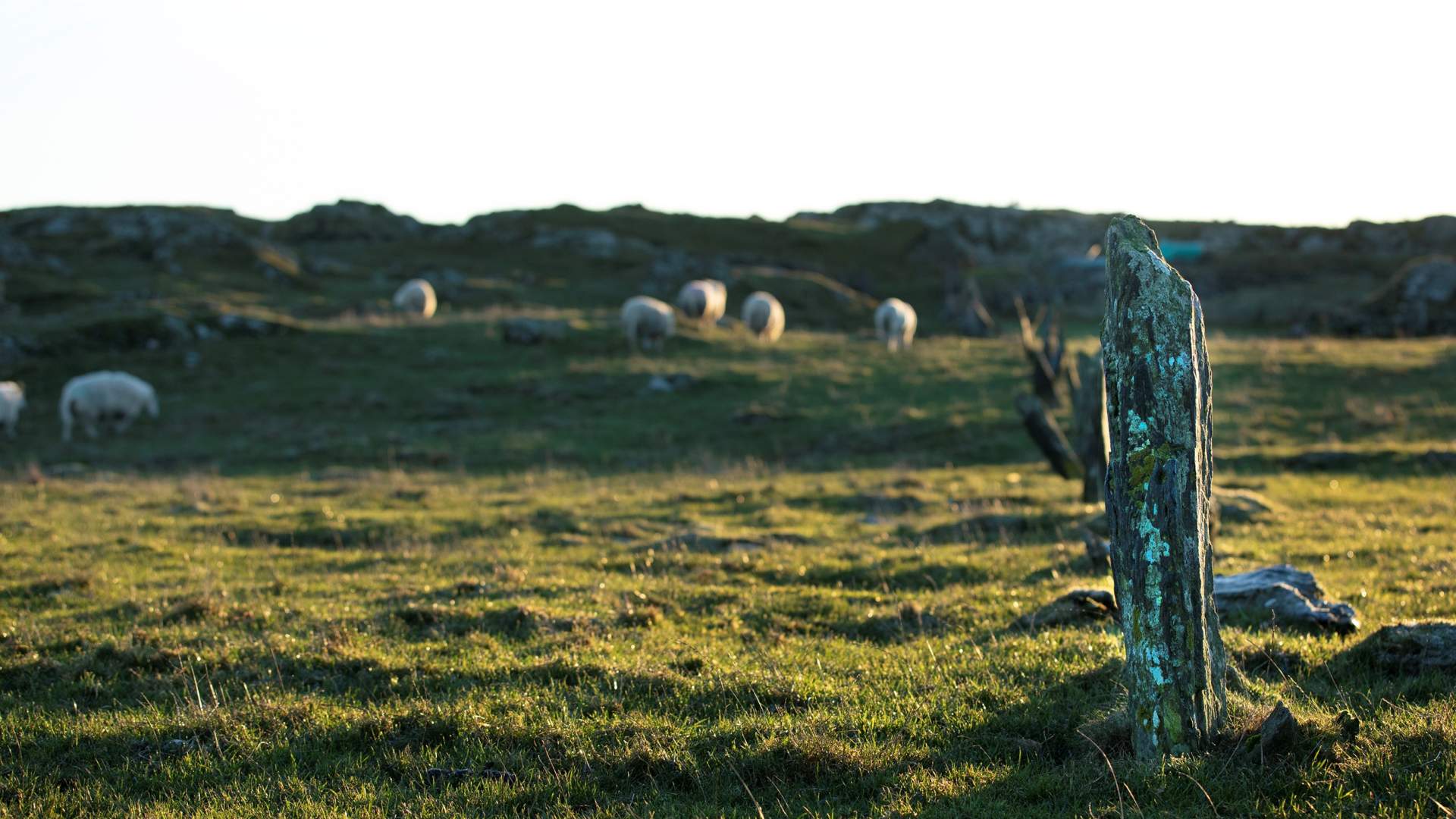 Turstien vest på Kvitsøy