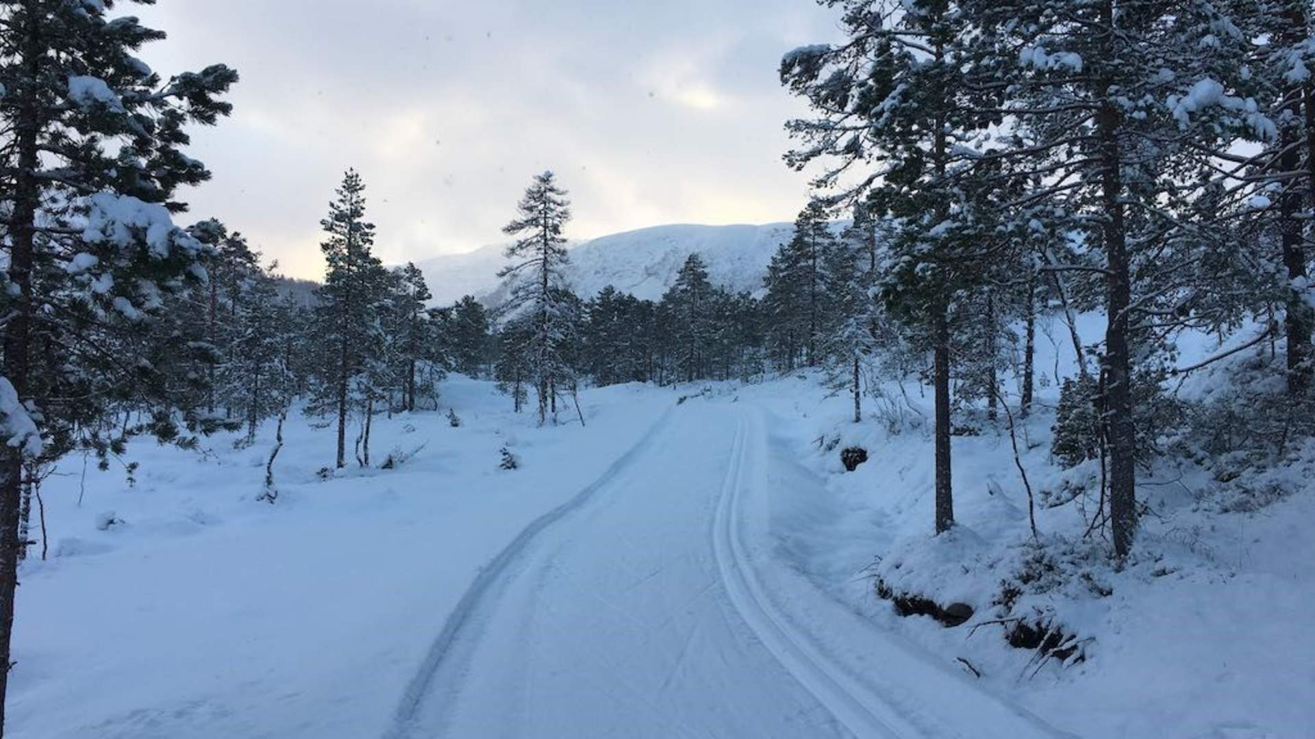Instedalen Skianlegg