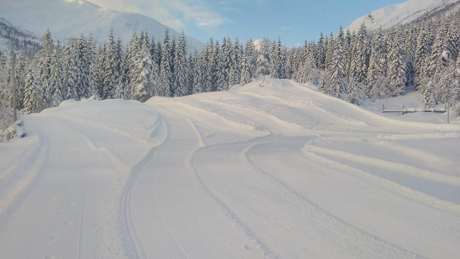 Cross country skiing - Årdalen Jølster