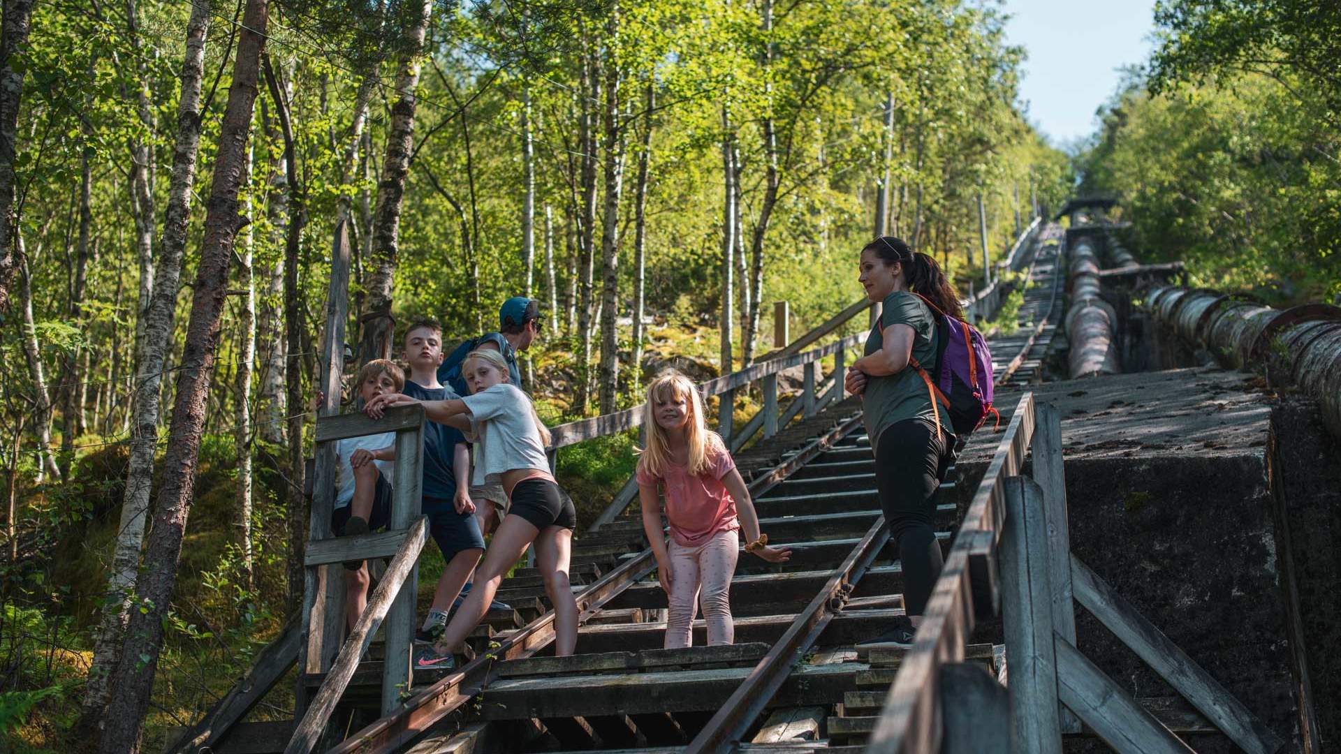 Fjelltur til Flørlitrappene og Rallarstien i Lysefjorden