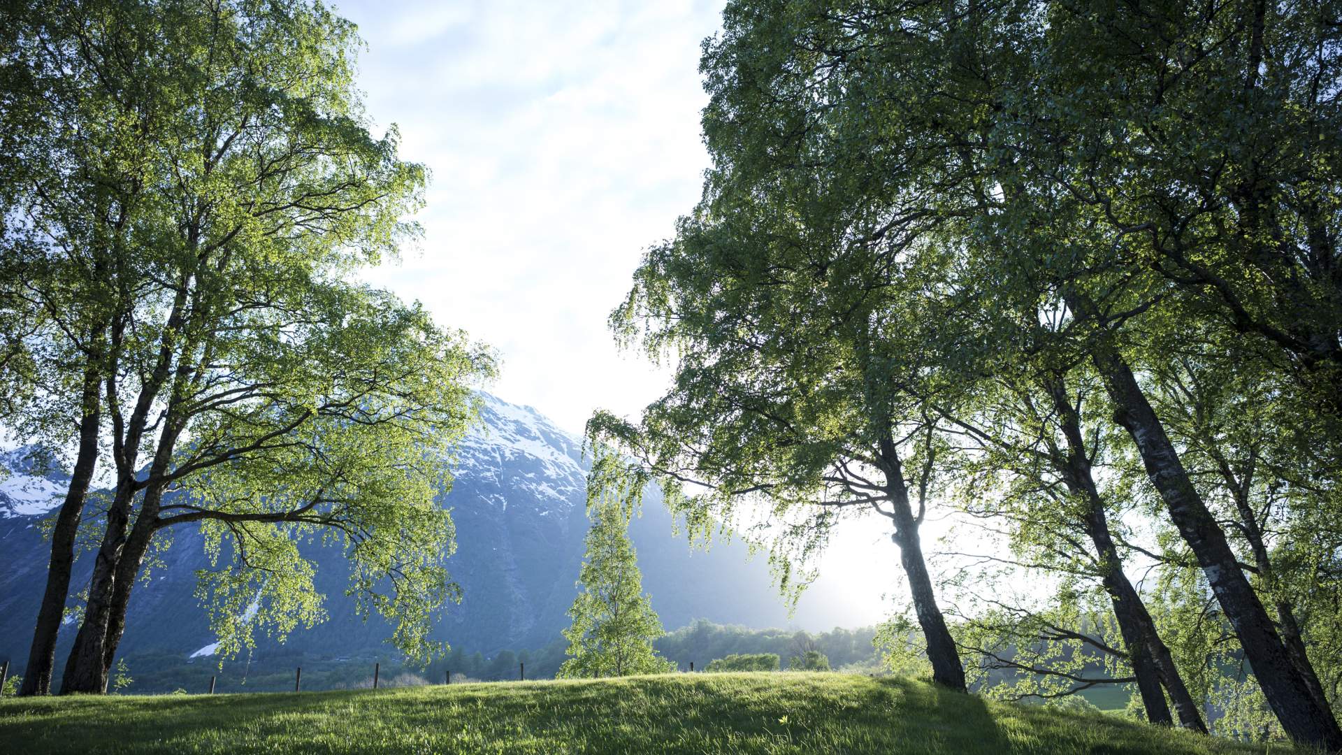 Hammocking + Hike the Romsdalseggen ridge hike with Hotel Aak