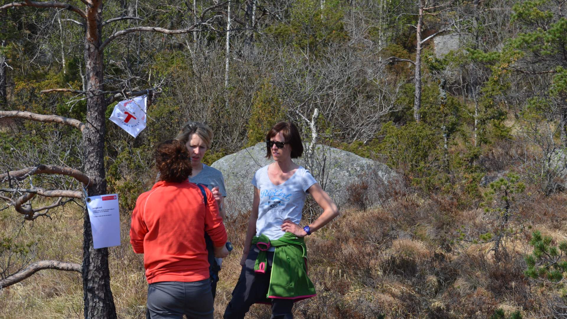 Teambuilding at Preikestolen Basecamp