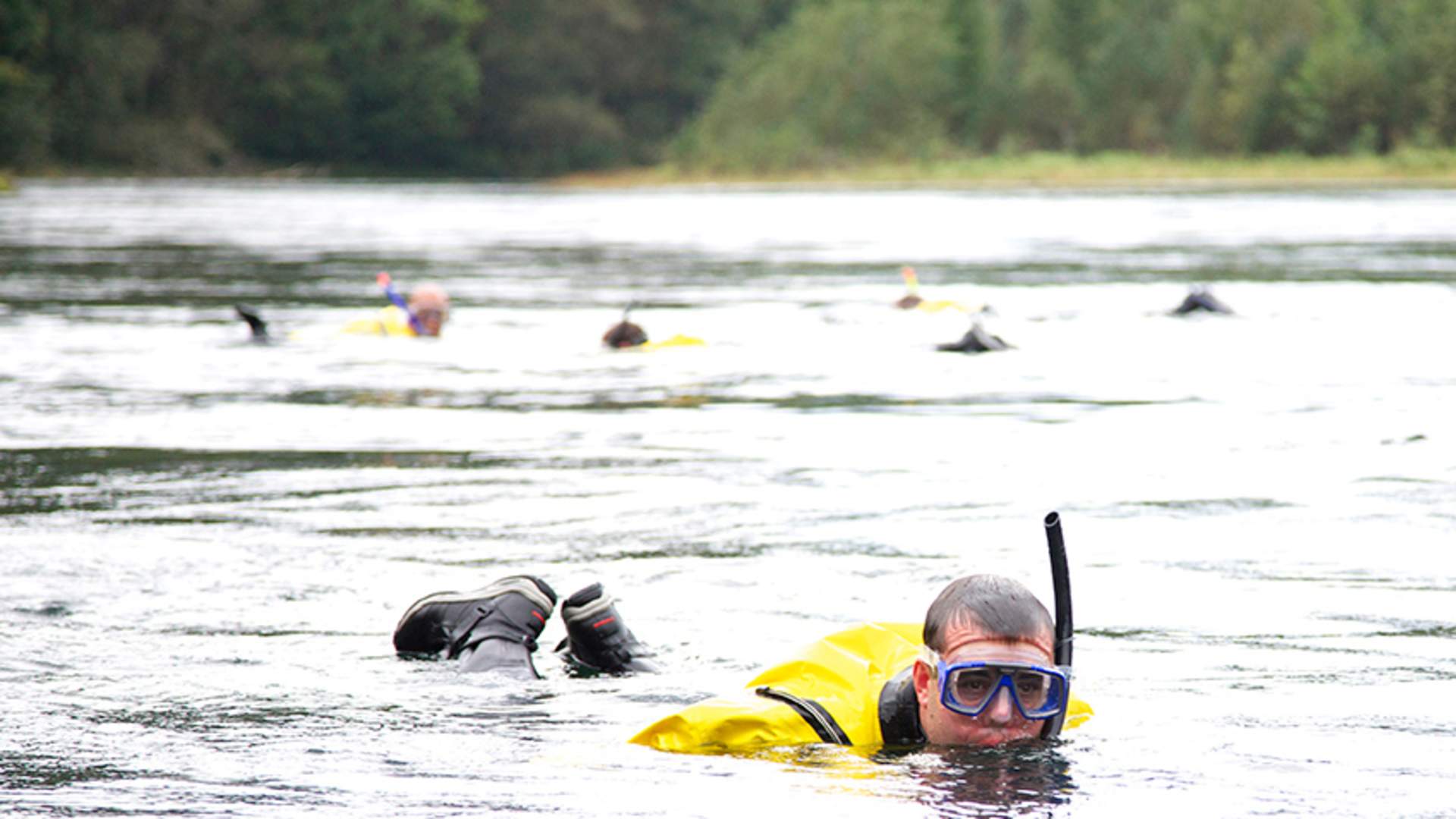 Laksesafari i Suldalslågen på Sand