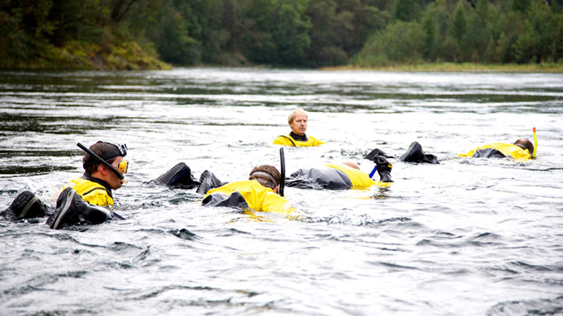 Laksesafari i Suldalslågen på Sand