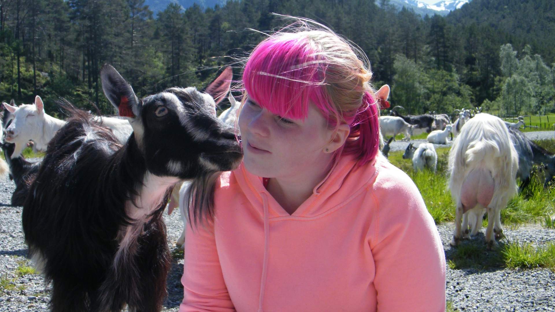 Tractor Safari to Eikemo Mountain Farm for groups