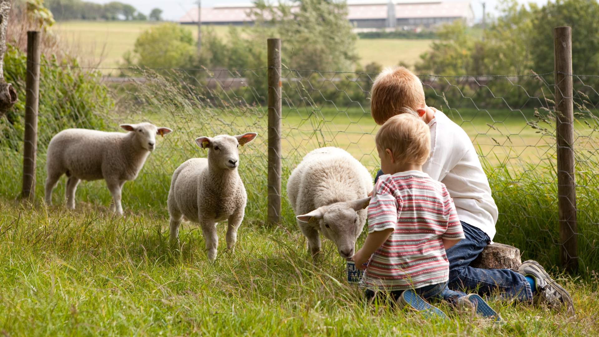 Vitengarden (Wissenschaftsfarm)